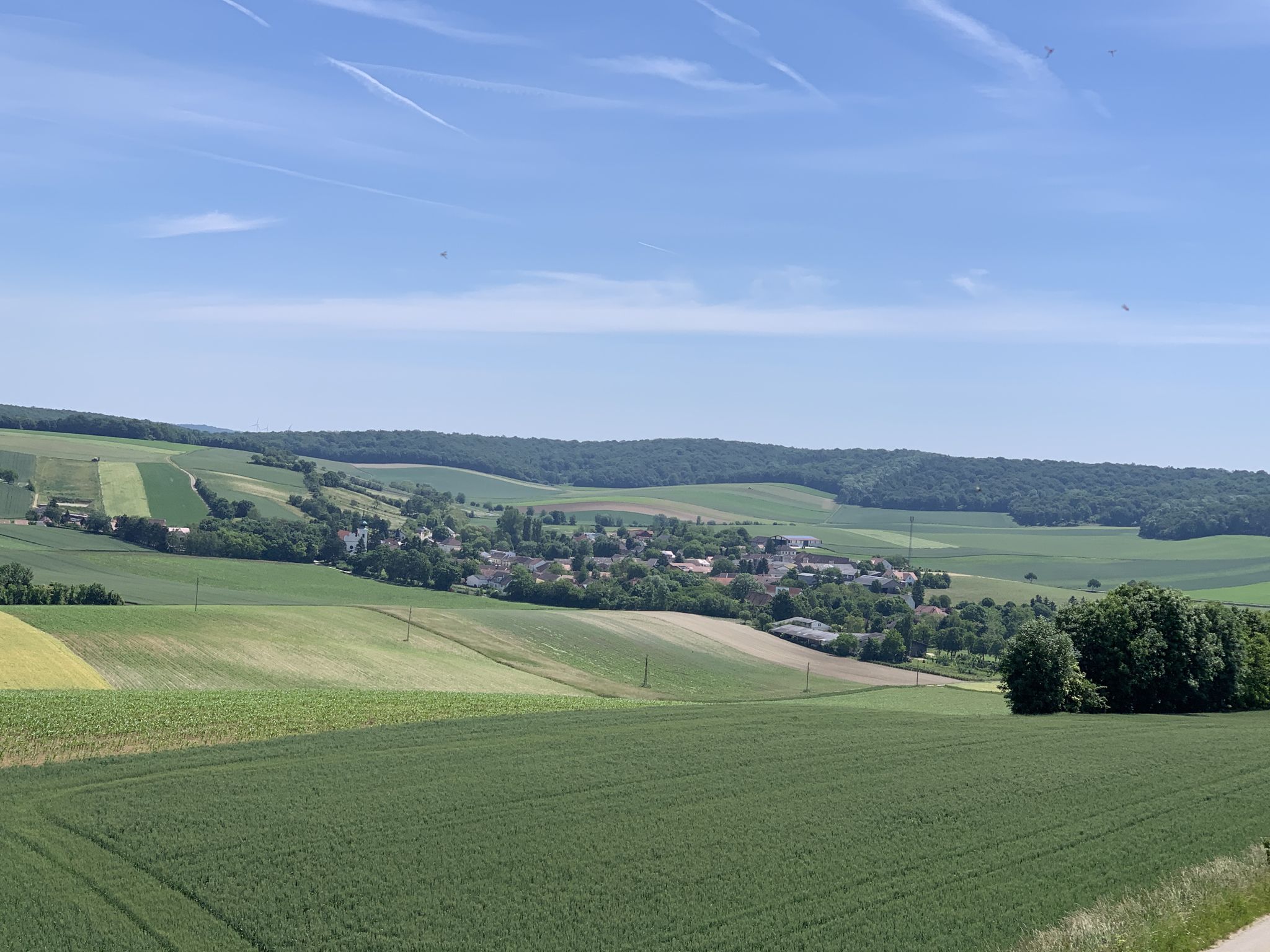 Blick auf Hagenberg
