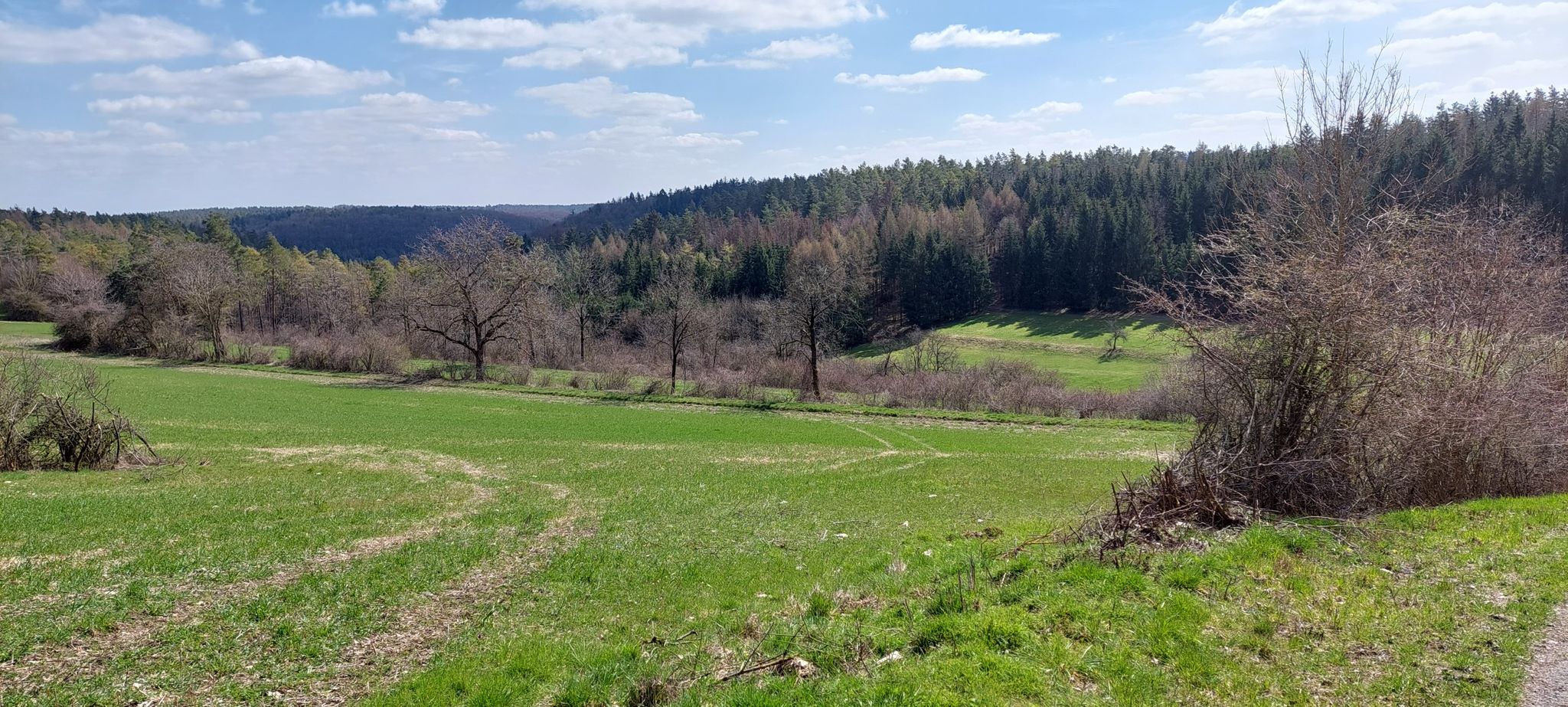 Blick zurück ins Eggerbachtal
