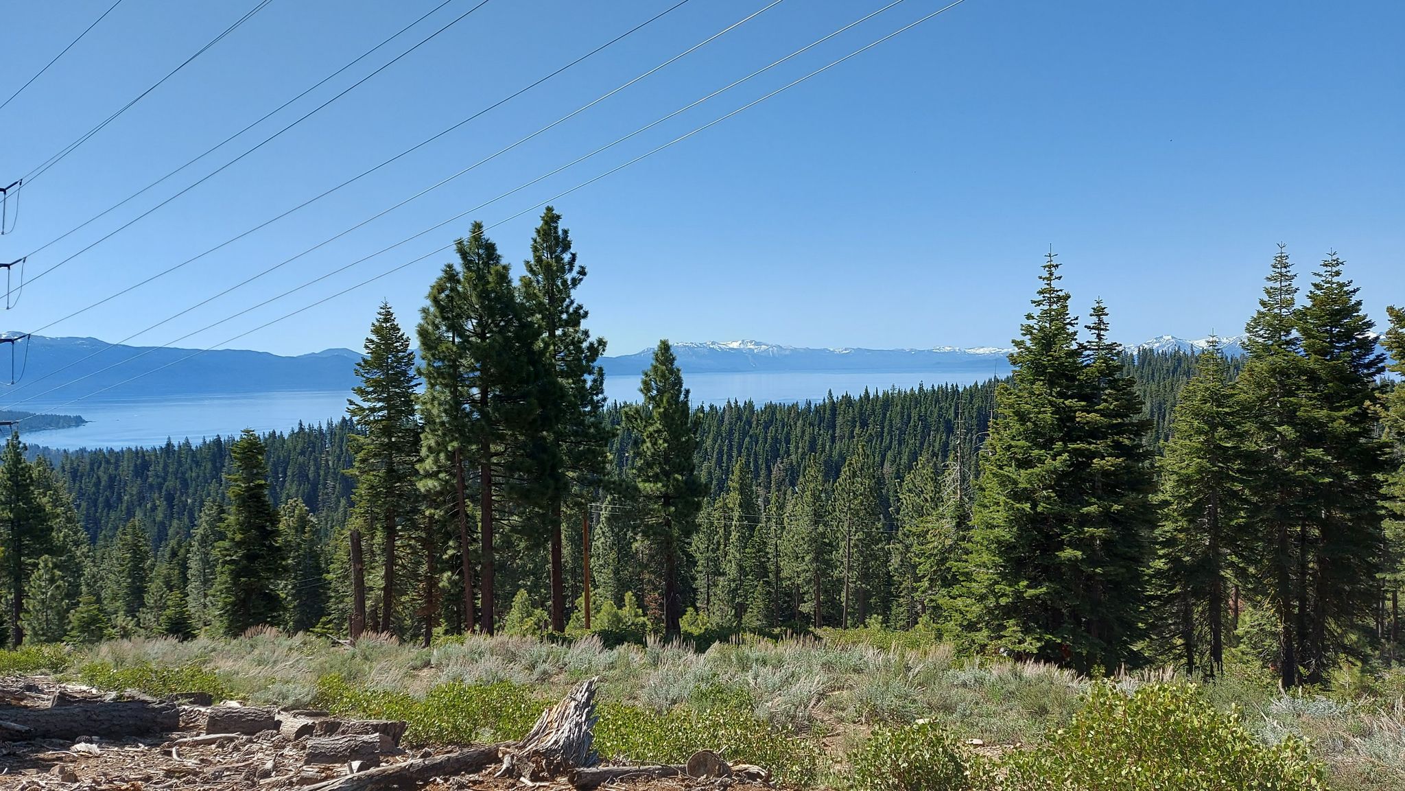 Forested landscape with a lake, distant mountains, and power lines overhead. - Tahoe Rim Trail to Picnic Rock Viewpoint