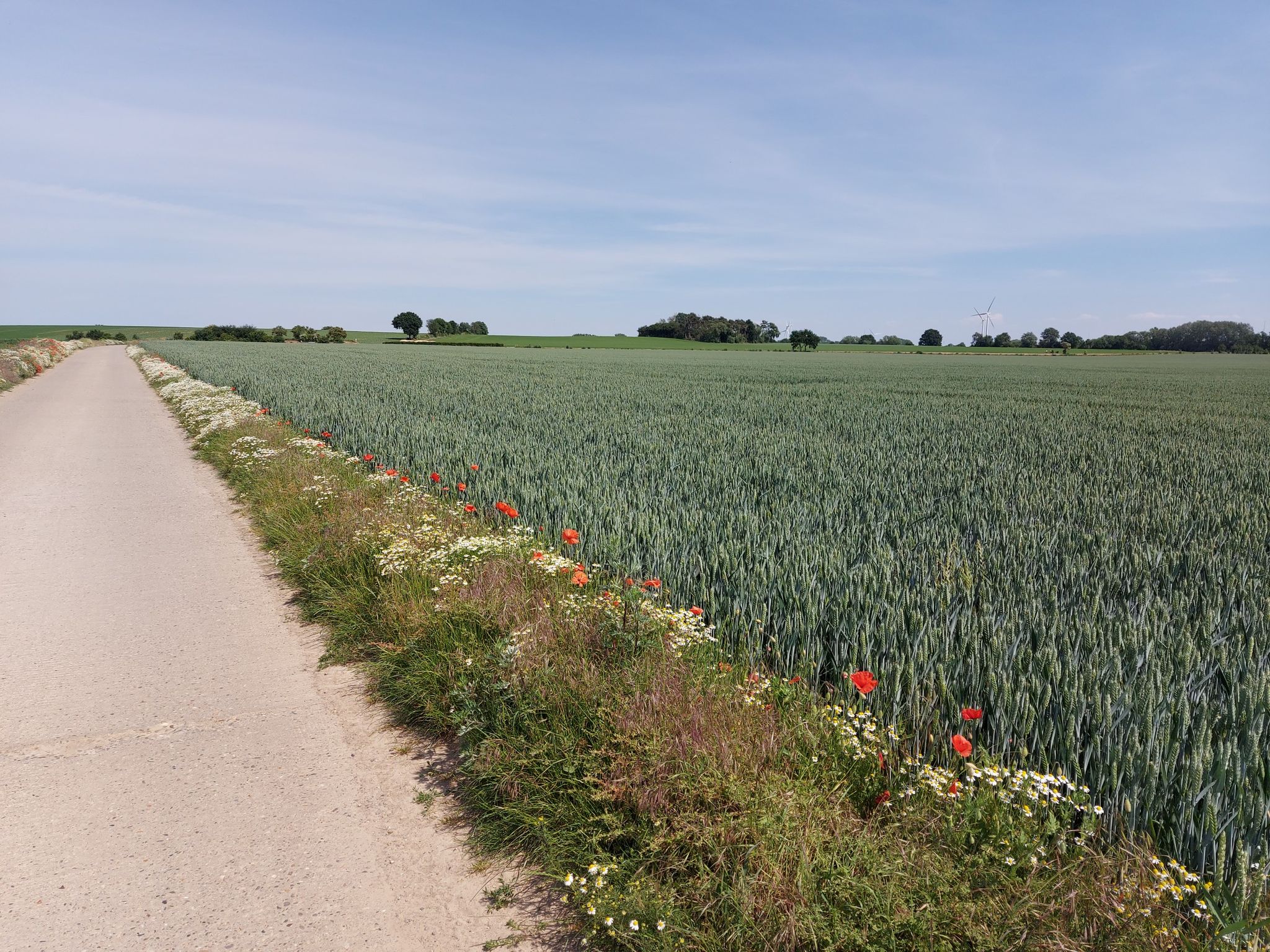 Pas op weg!