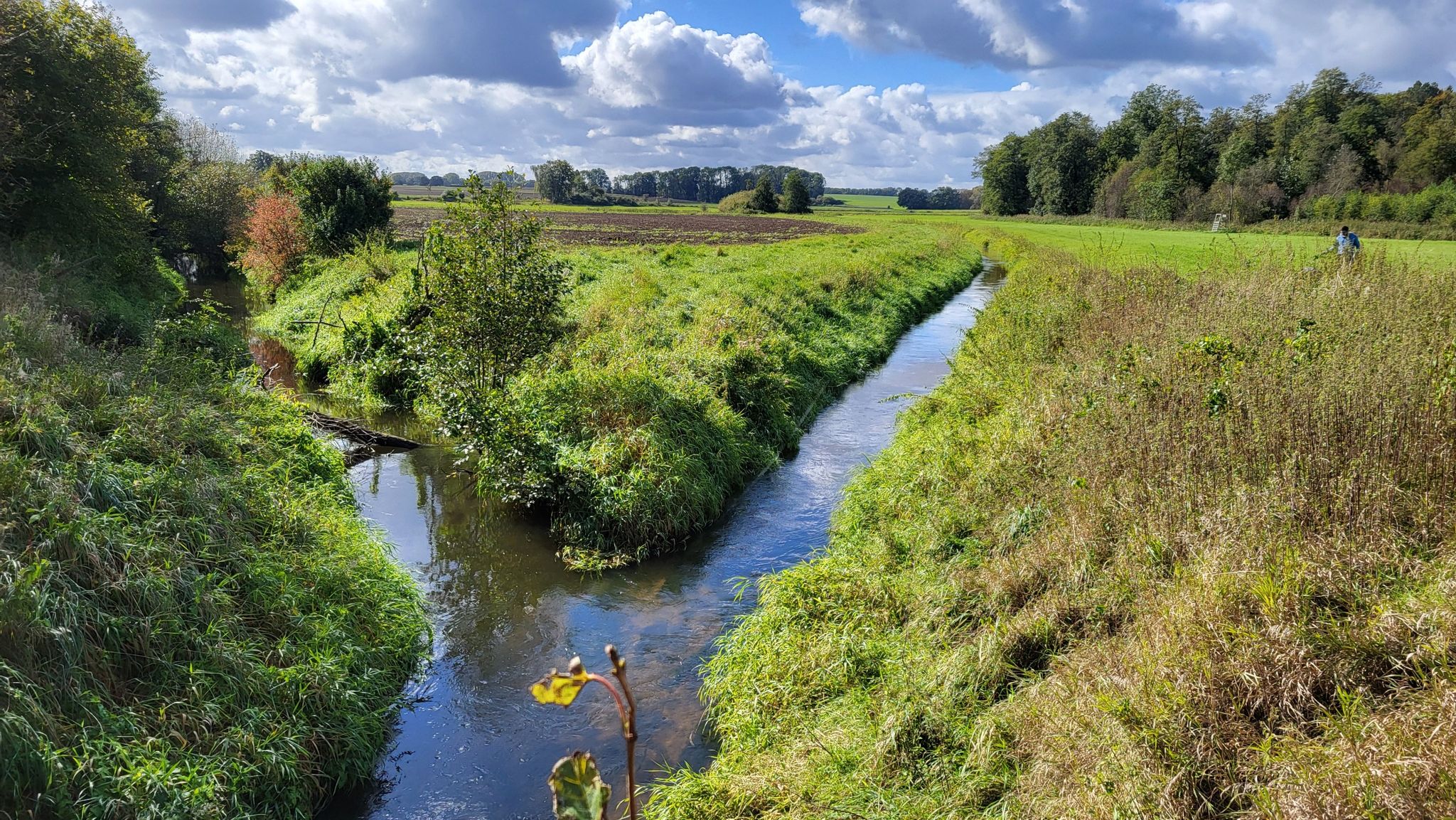 Die Beste bei Blumendorf
