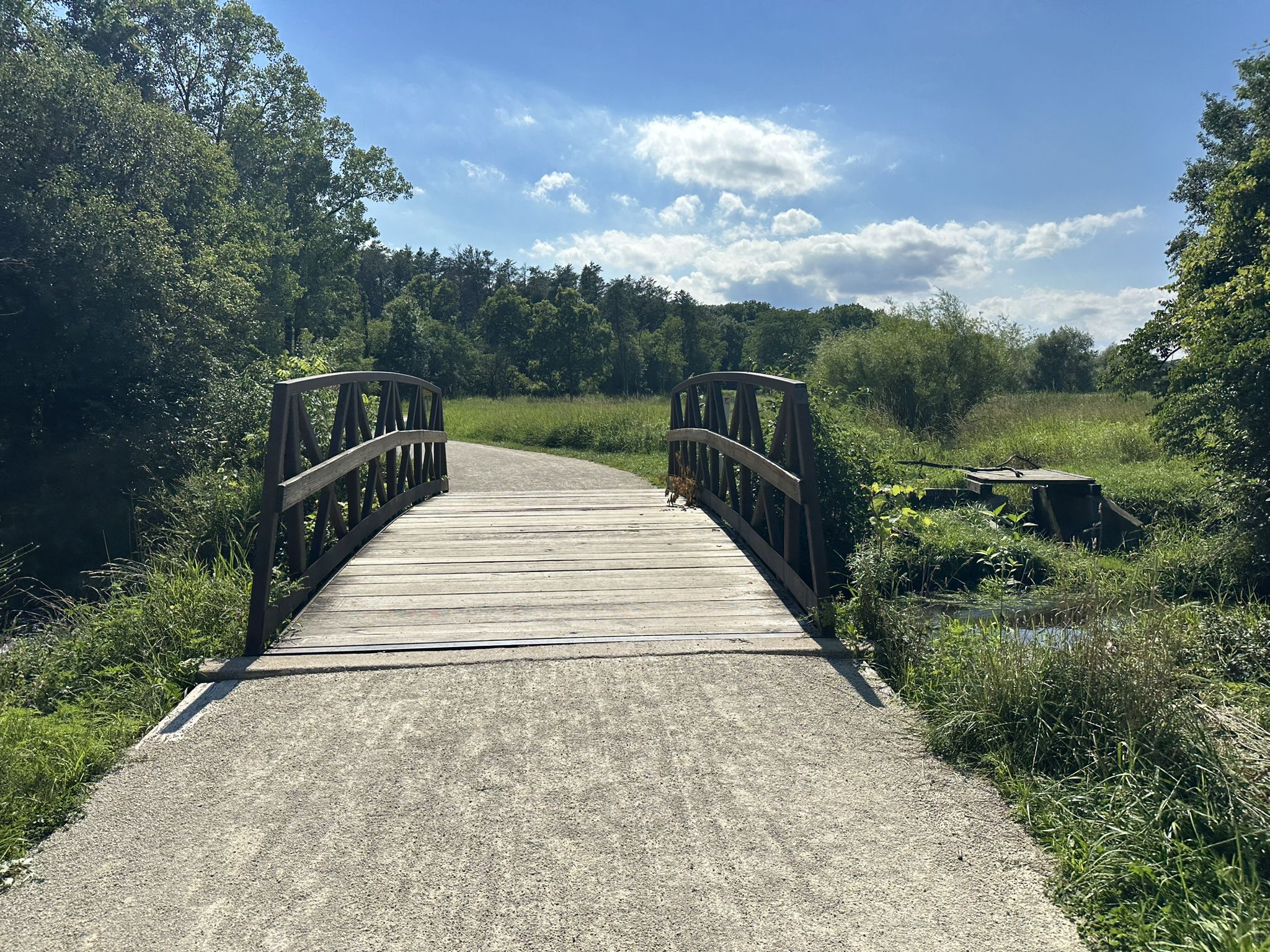Wooden bridge over a small stream, surrounded by lush green foliage. - Waterfall Glen Main Trail
