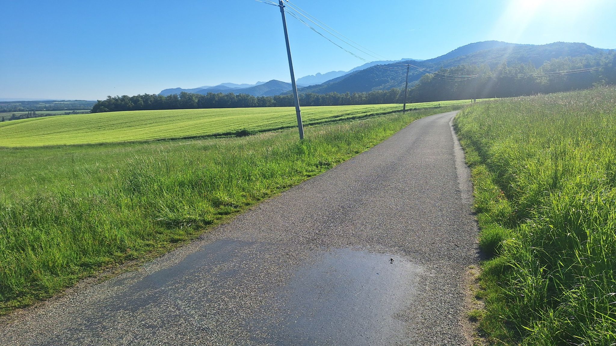 Petite route tranquille longeant le pied du Vercors.