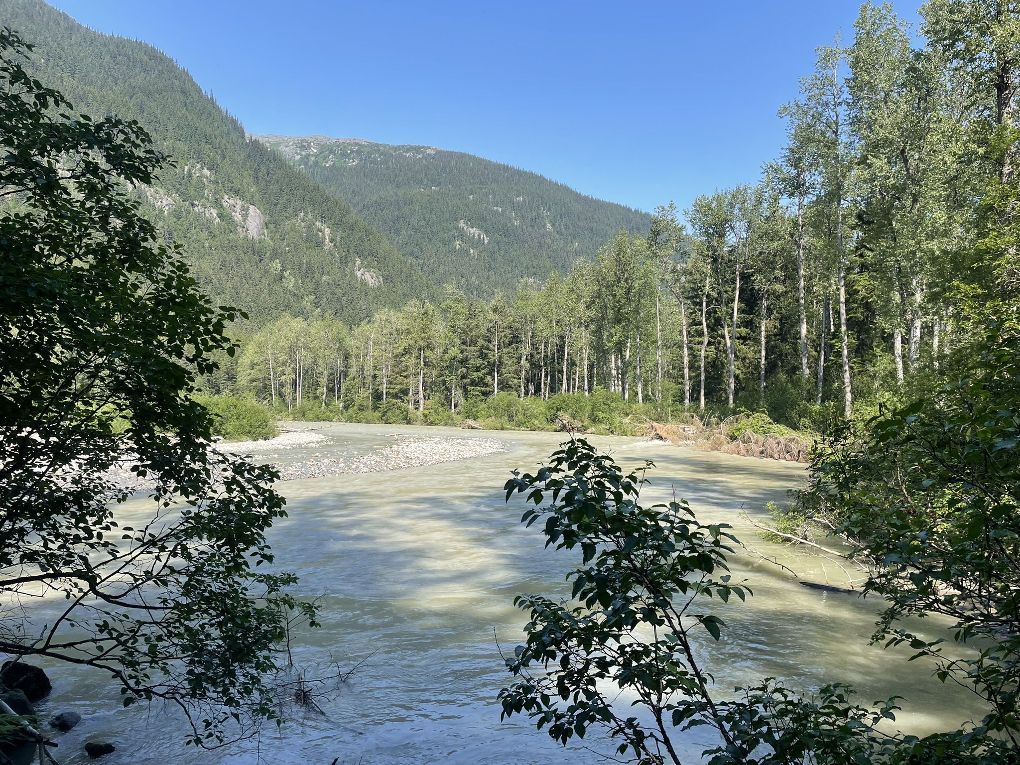 Wide, light-colored river flowing past a lush forest and distant mountains. - Chilkoot Trail