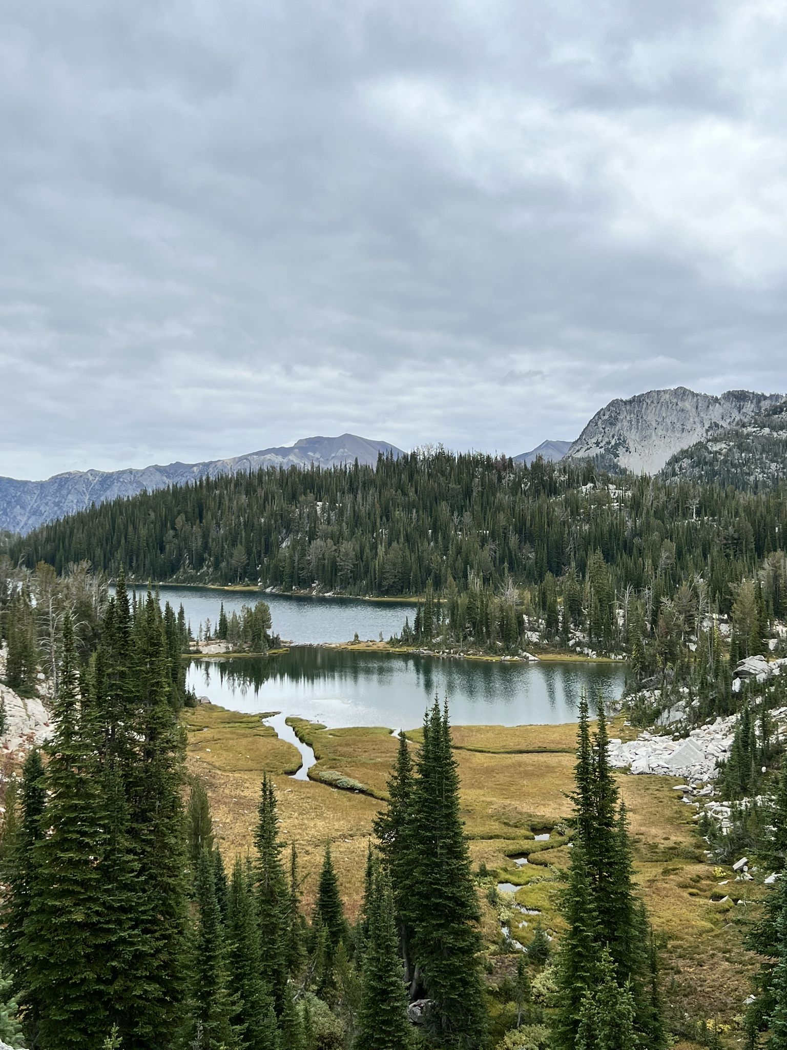 Overcast view of an alpine lake surrounded by evergreen forests and mountains. - Lakes Basin Loop