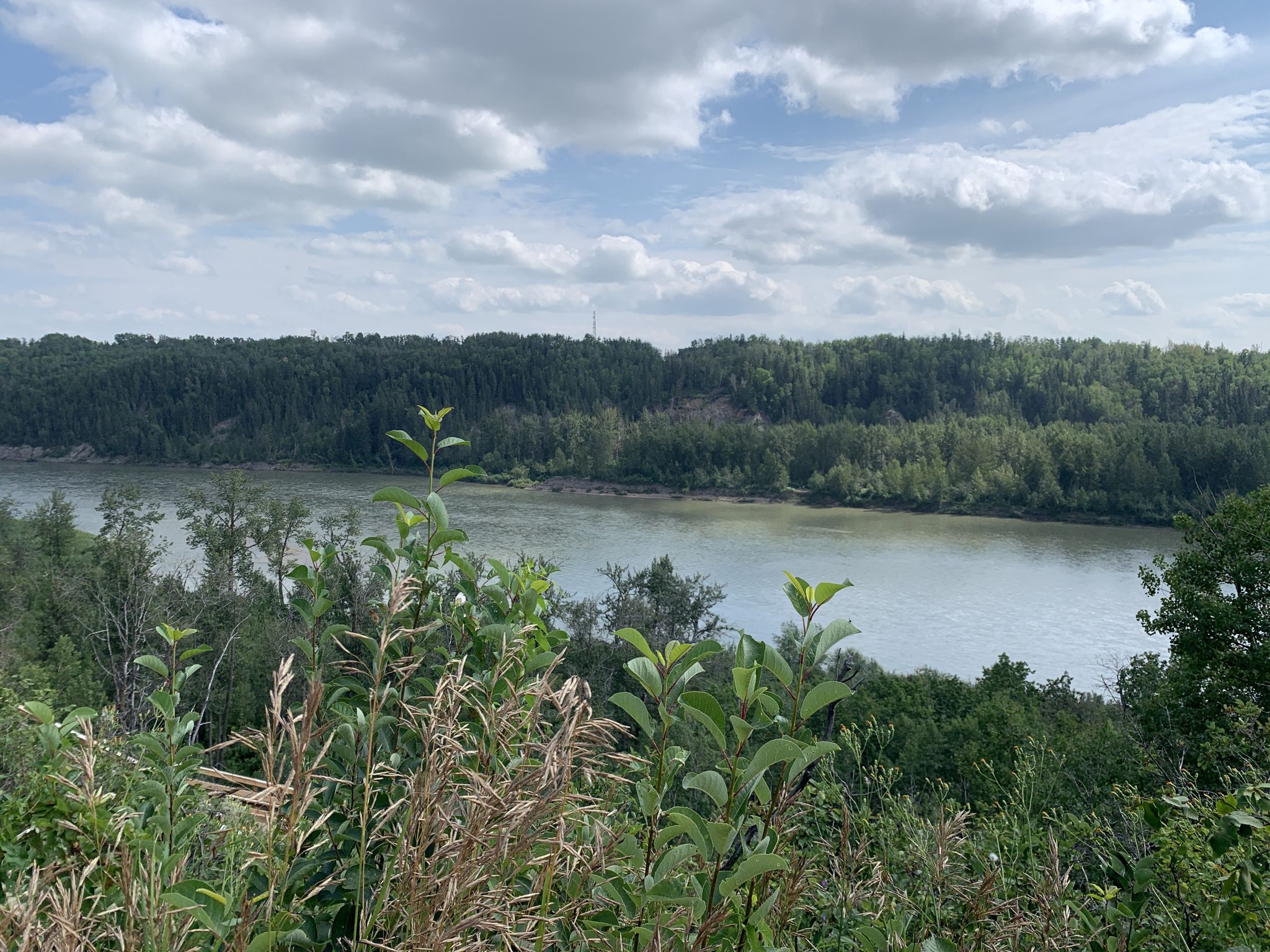 North Saskatchewan river
