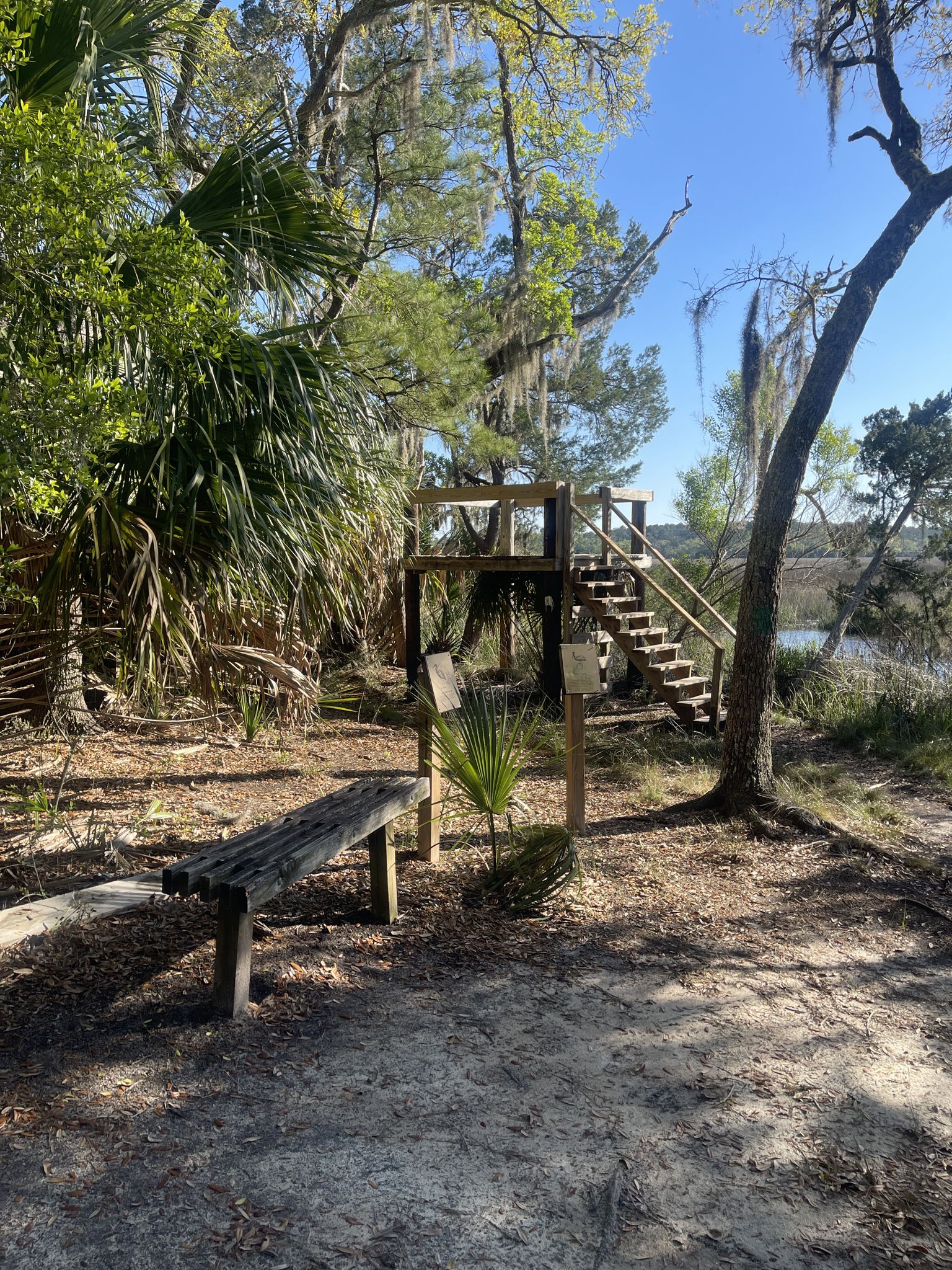 A wooden observation deck with stairs and a bench near water, sunny. - Red Bird Creek Trail
