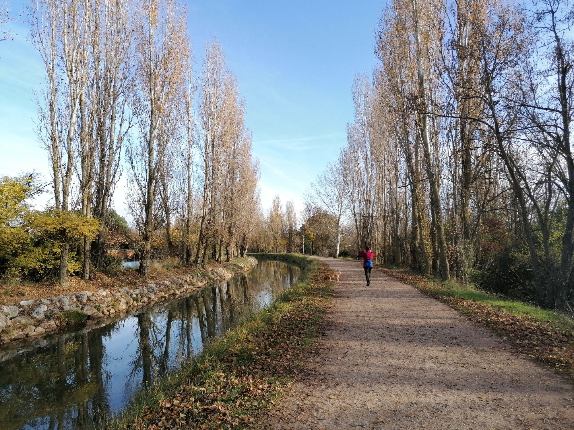 canal del Duero