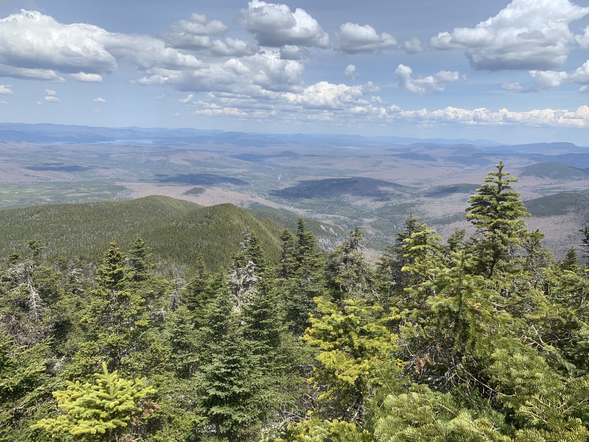 Expansive mountain vista with evergreen trees under a bright, cloudy sky. - Old Speck Trail