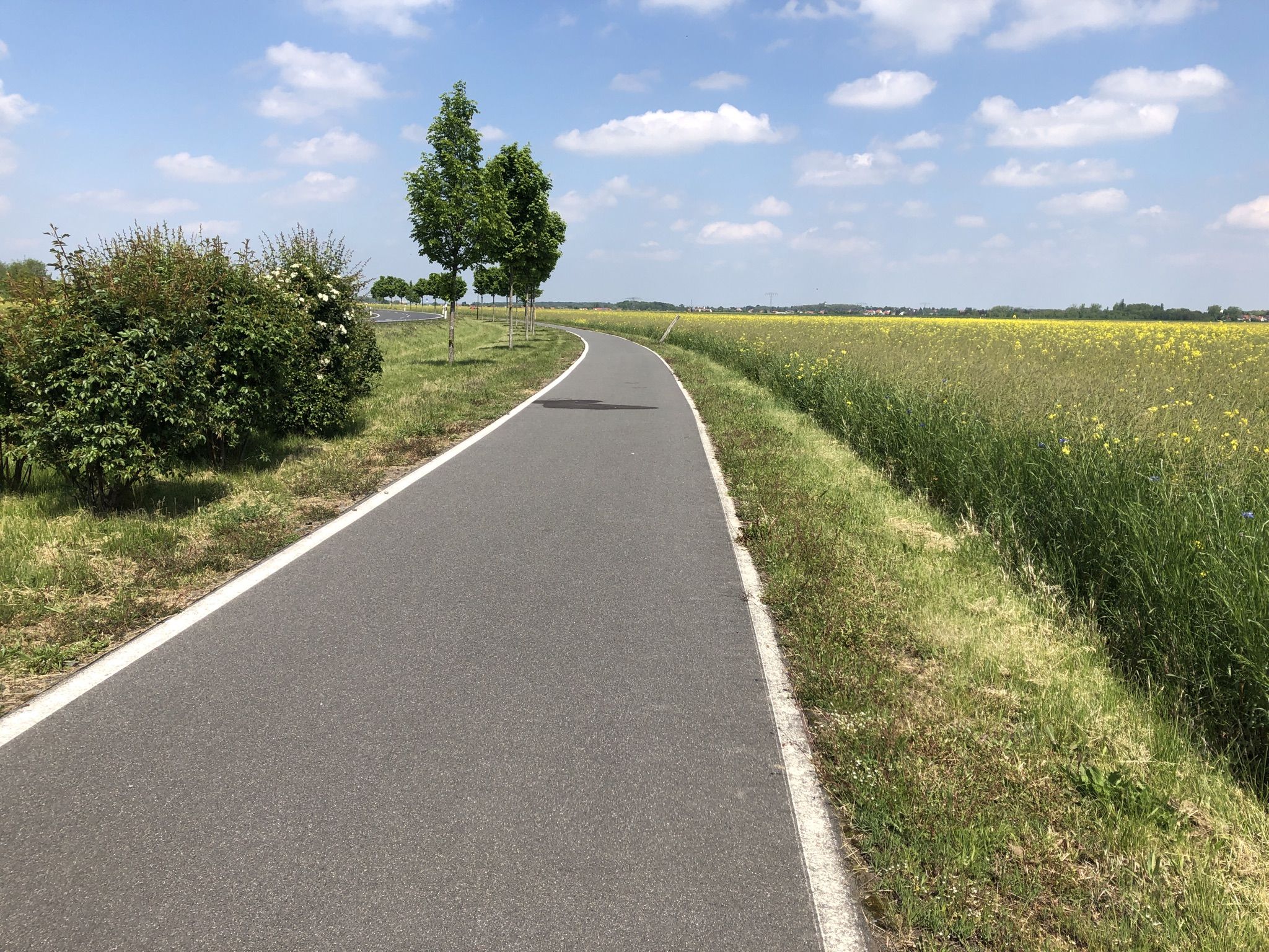 Weiter geht's nach Frankenheim zum Spargelhof.