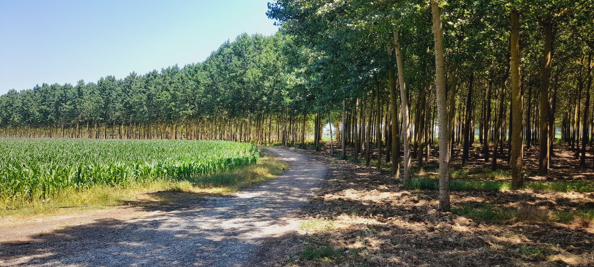 Fiume Po Piemonte Italja