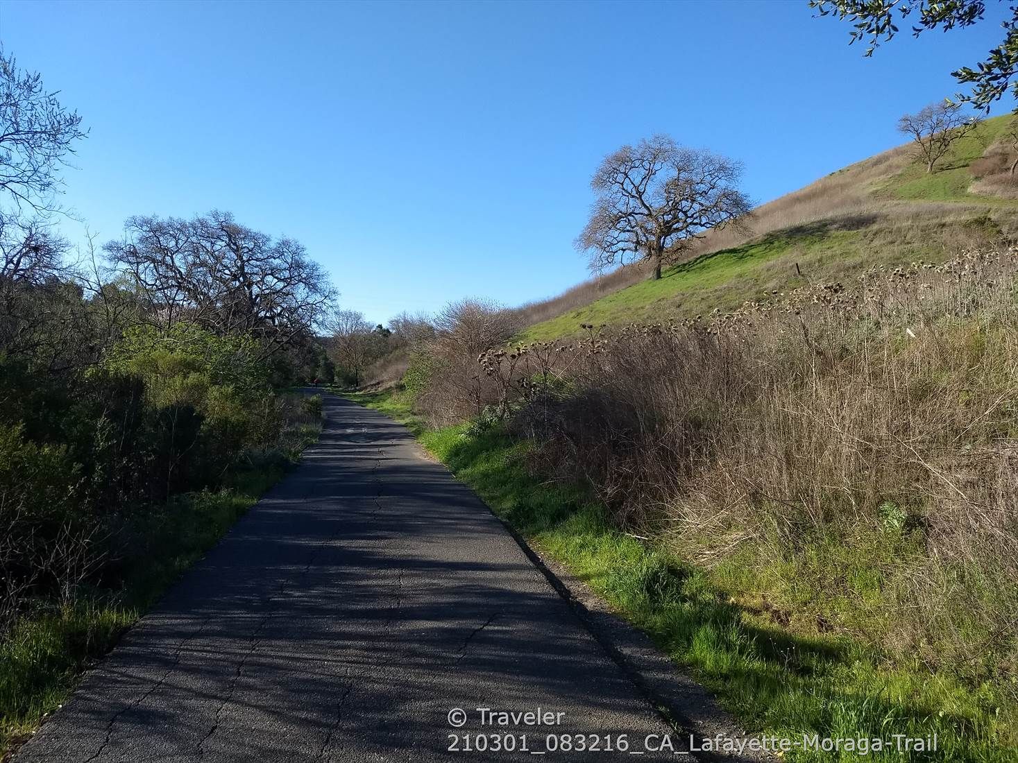 A paved path winds through a sunny, grassy hillside with scattered trees. - Lafayette-Moraga Trail horse paddocks loop from Lafayette