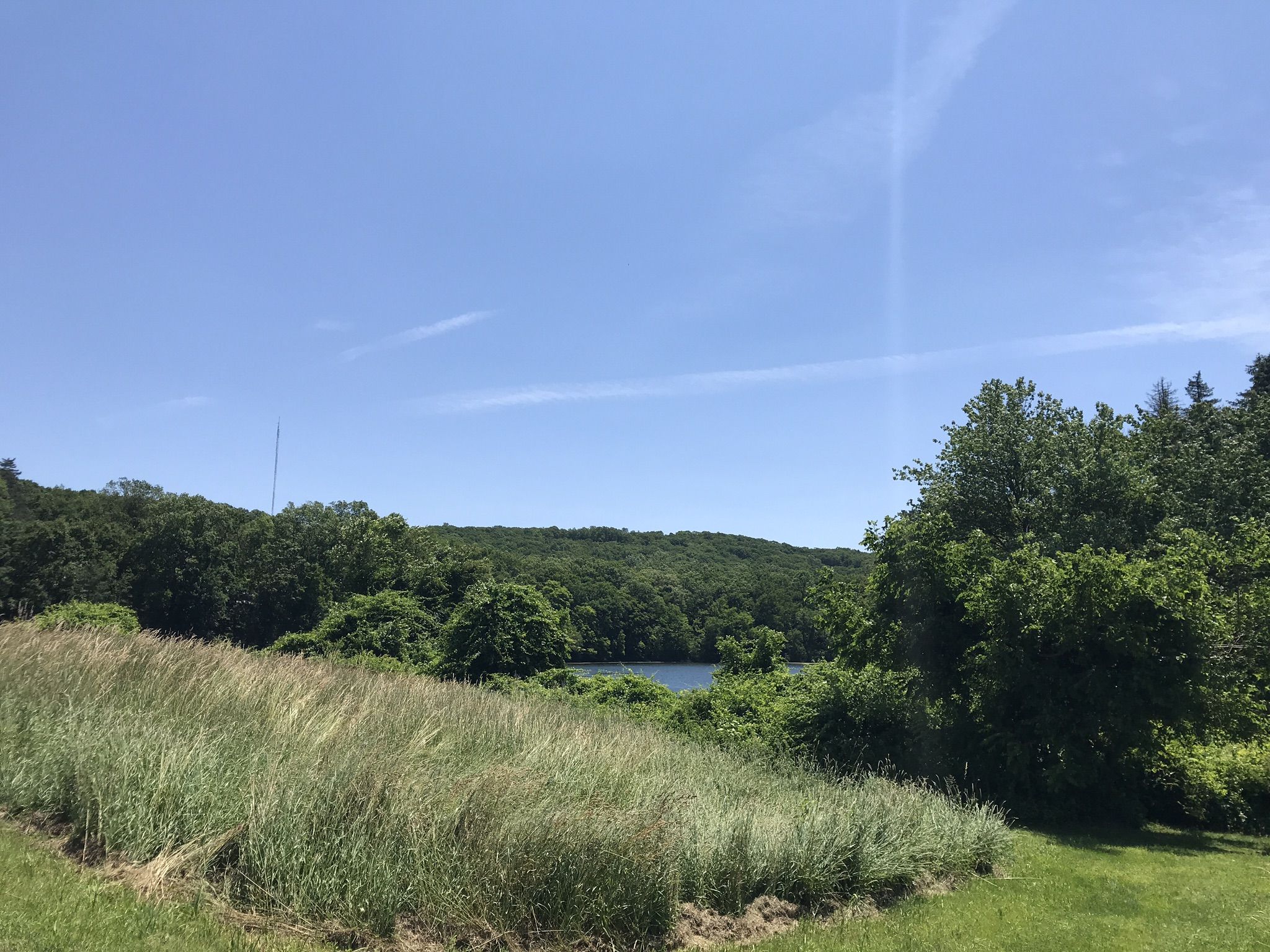 Sunny view of a lake surrounded by lush green hills and tall grass. - Parks Pond and Picnic Site – Bench in the Forest loop from Danbury