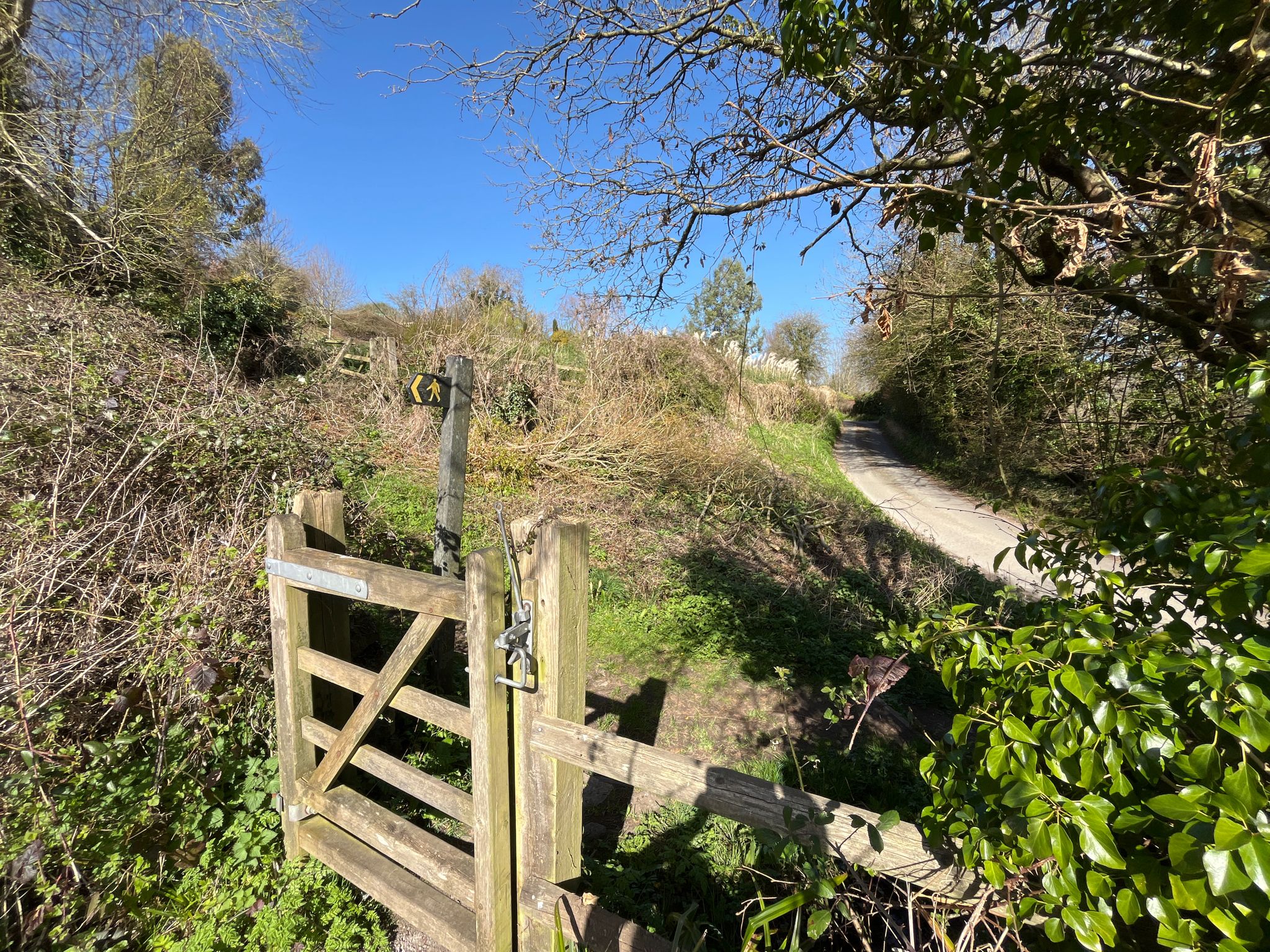 through the next gate you have options, head up the road ahead (Tutton Hill) or turn sharply left up the narrow footpath