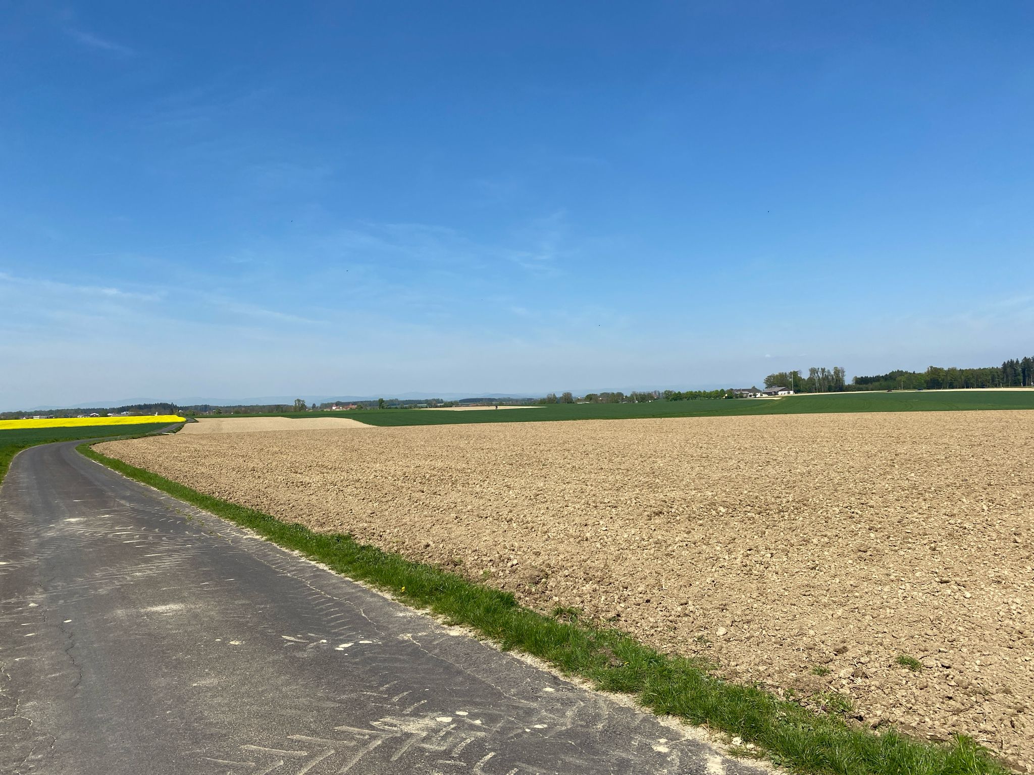 1. Blick auf Schloss Losensteinleiten