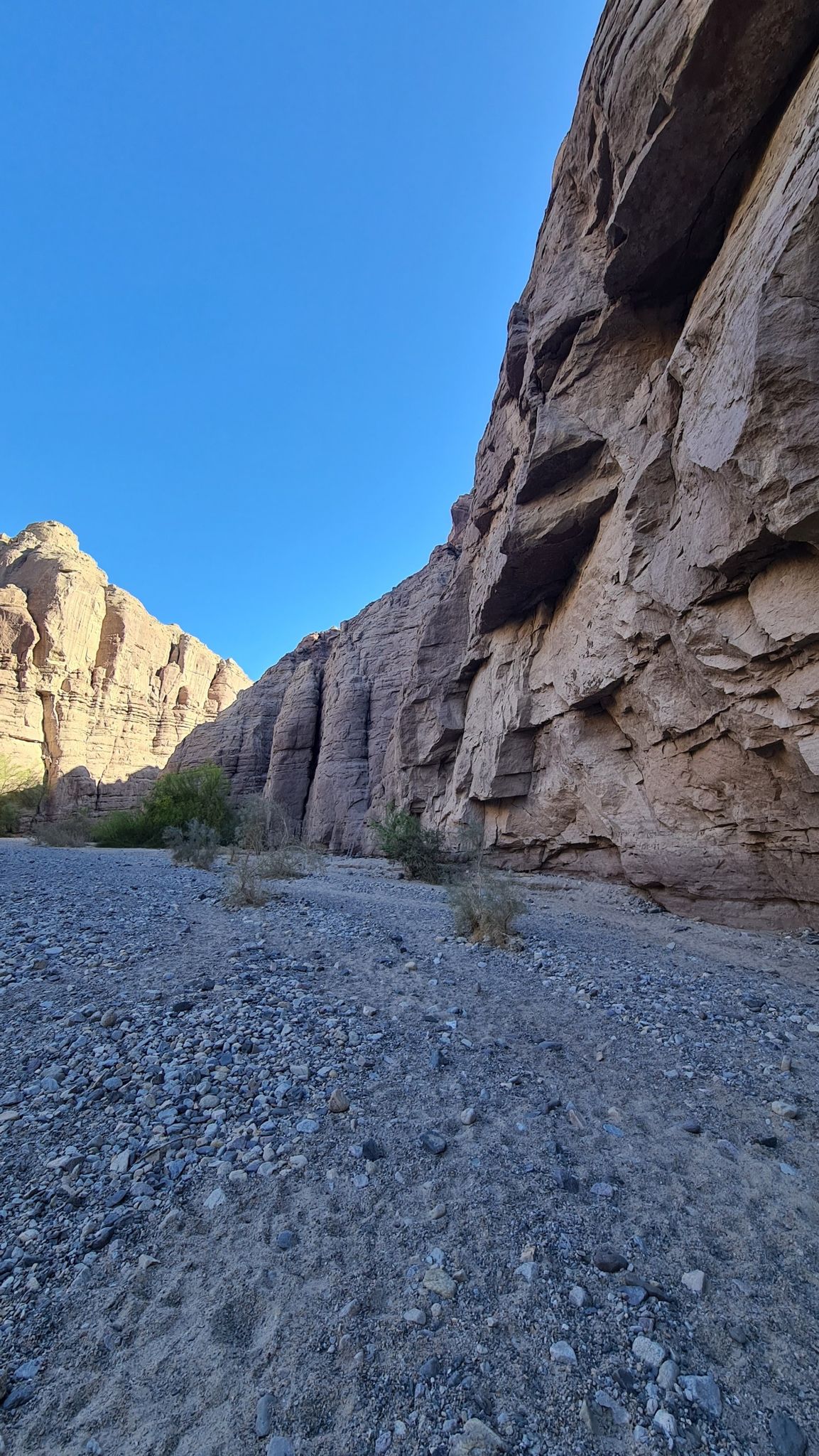 Steep canyon walls rise above a gravel wash under a clear blue sky. - Painted Canyon – Ladder Canyon loop from Mecca Hills Wilderness