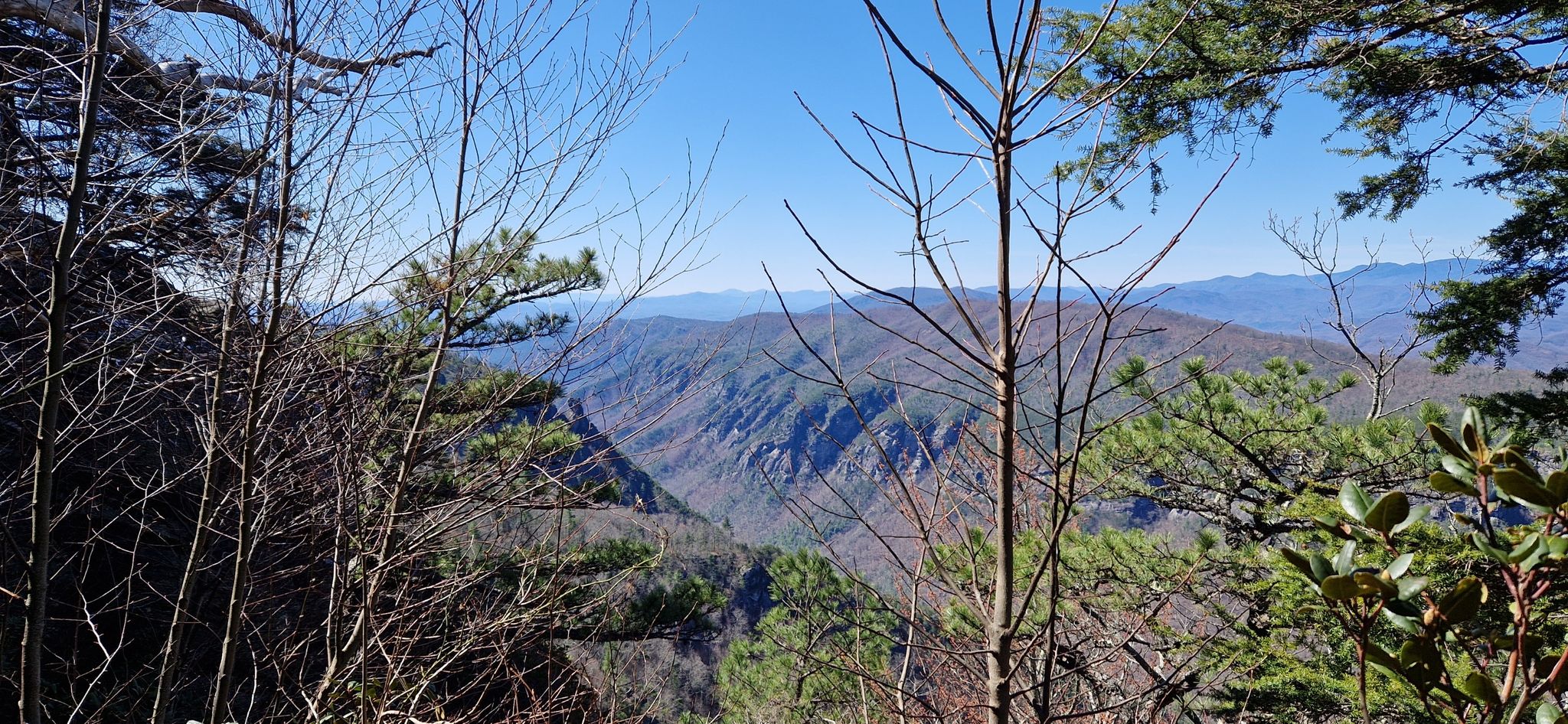 Panoramic mountain vista through bare tree branches under a clear blue sky. - Linville Gorge Wilderness Loop