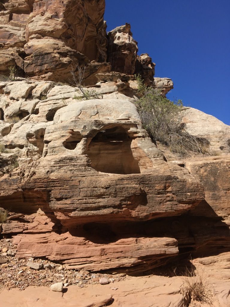 Close-up of layered sandstone cliff with natural alcoves under bright blue sky. - Crack Canyon Trail