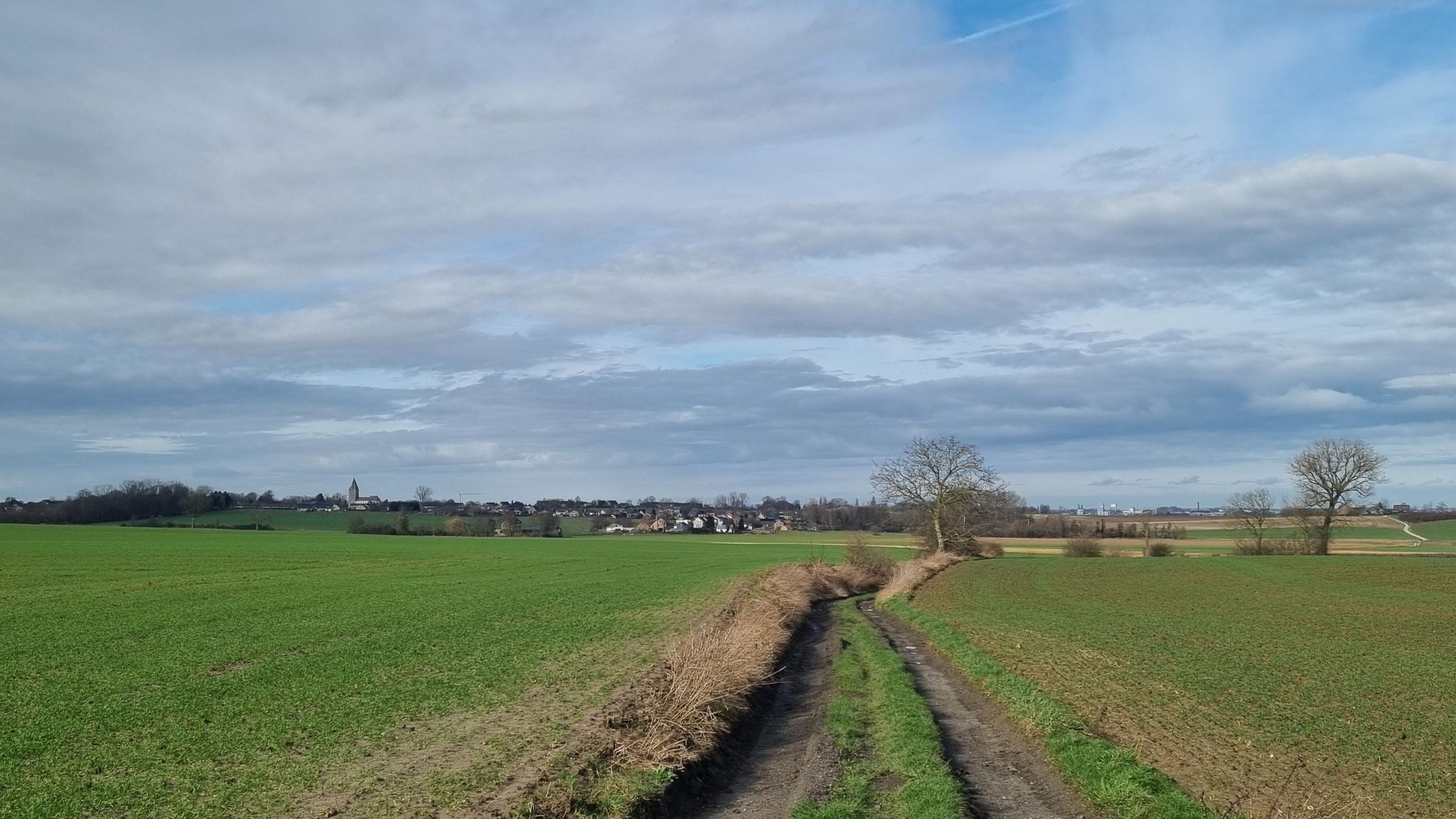 Uitzicht op Goetsenhoven en Tienen