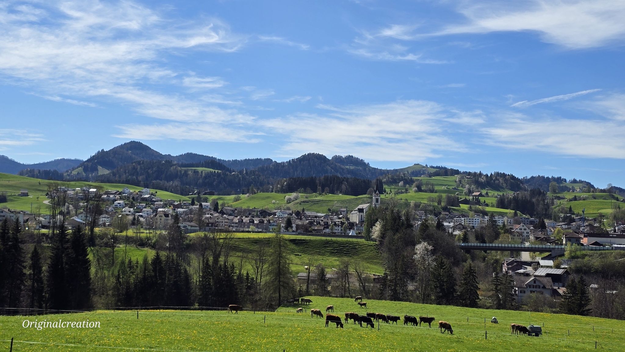 Blick auf Bütschwil