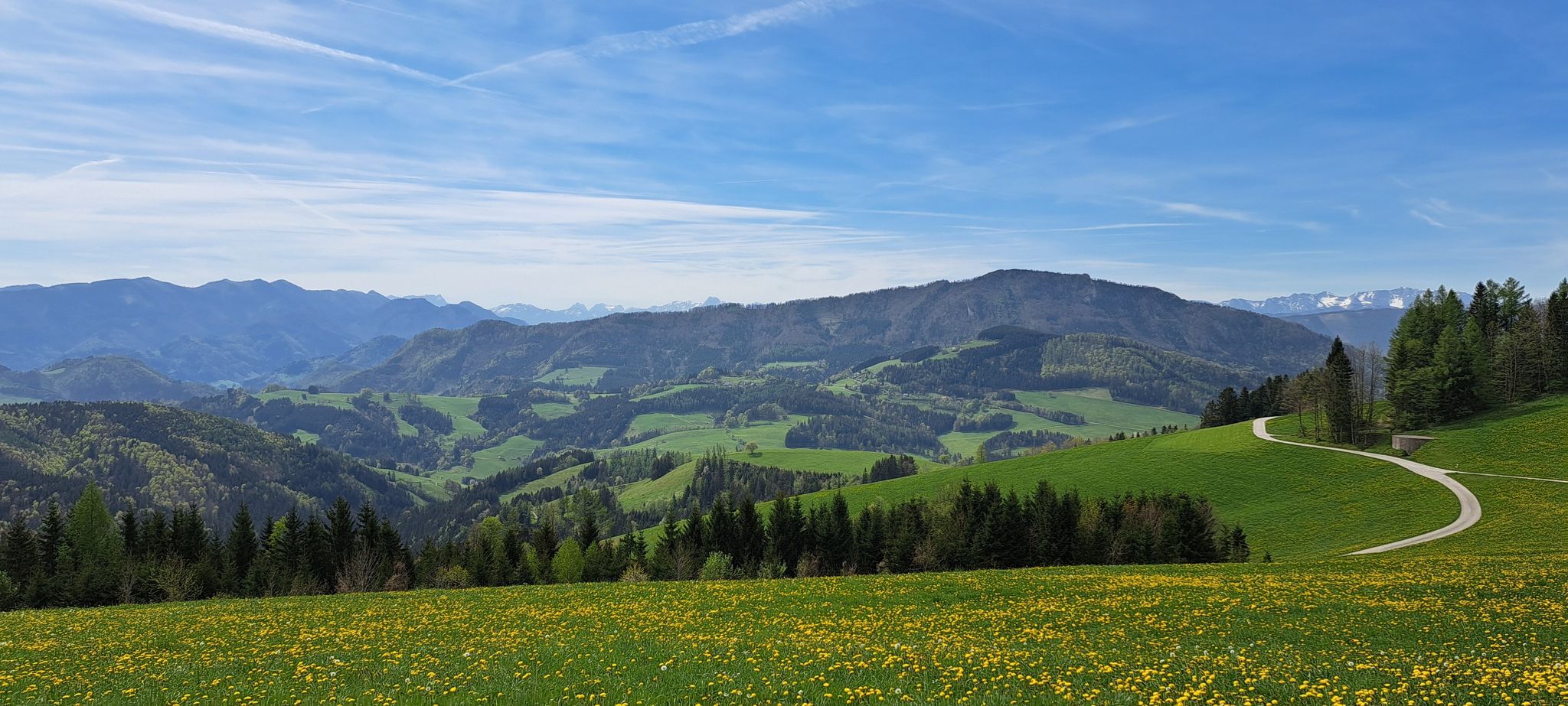 Aussicht vom Plattenberg