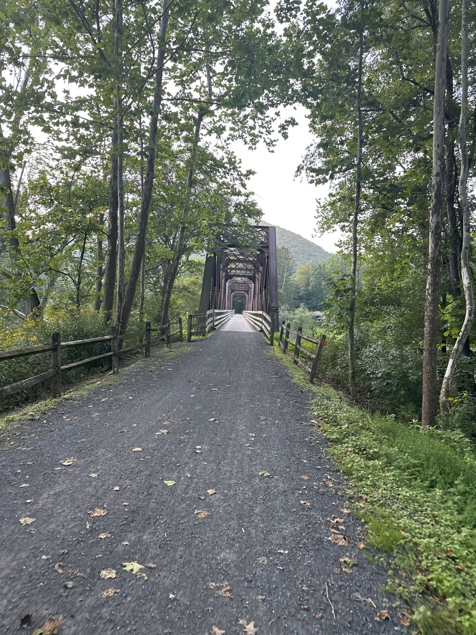 Gravel path through trees leading to a distant metal bridge on an overcast day. - Little Pine Lake – Vista loop from Little Pine State Park