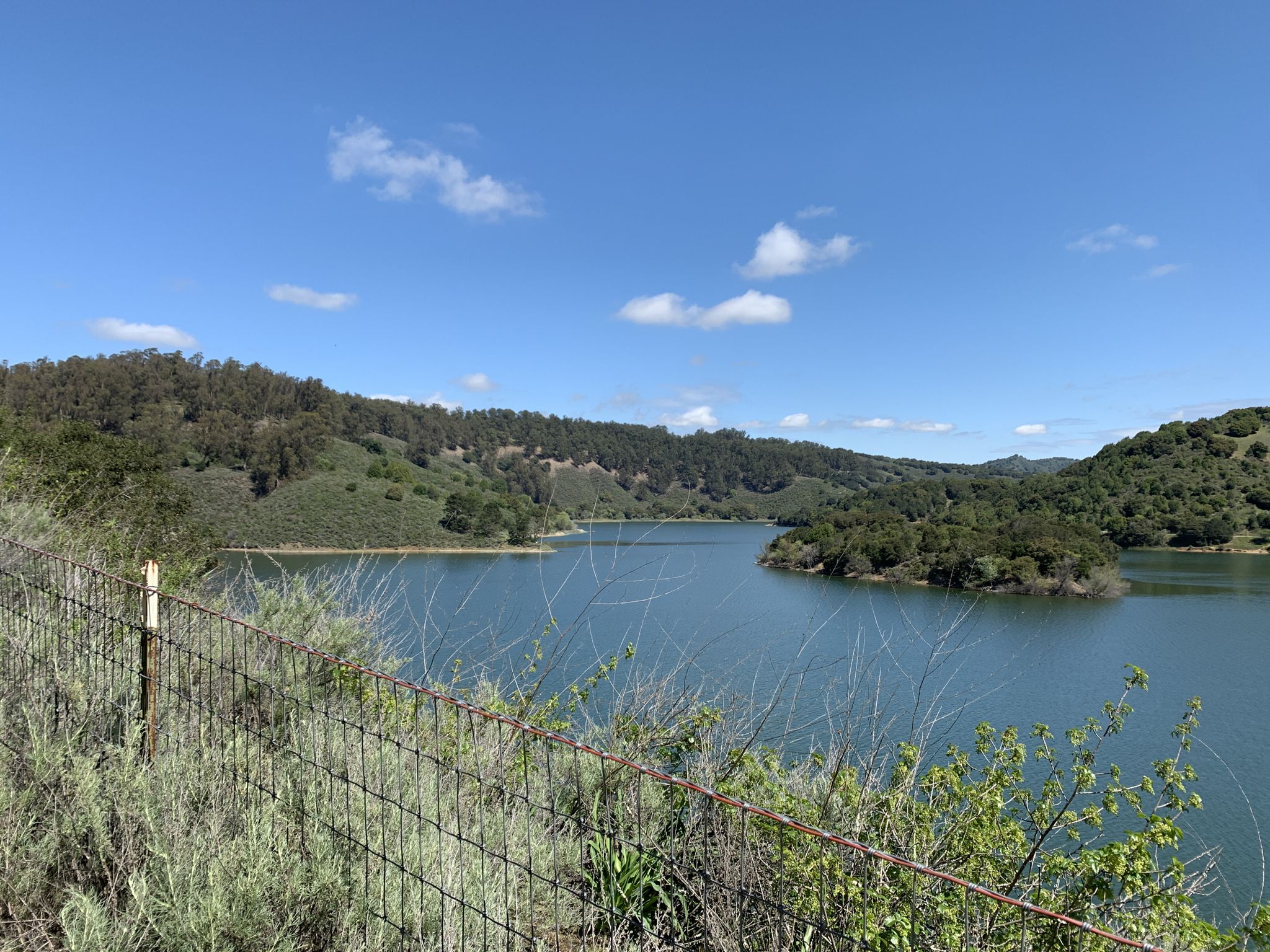 Expansive blue lake surrounded by green hills under a bright, clear sky. - West Shore Trail