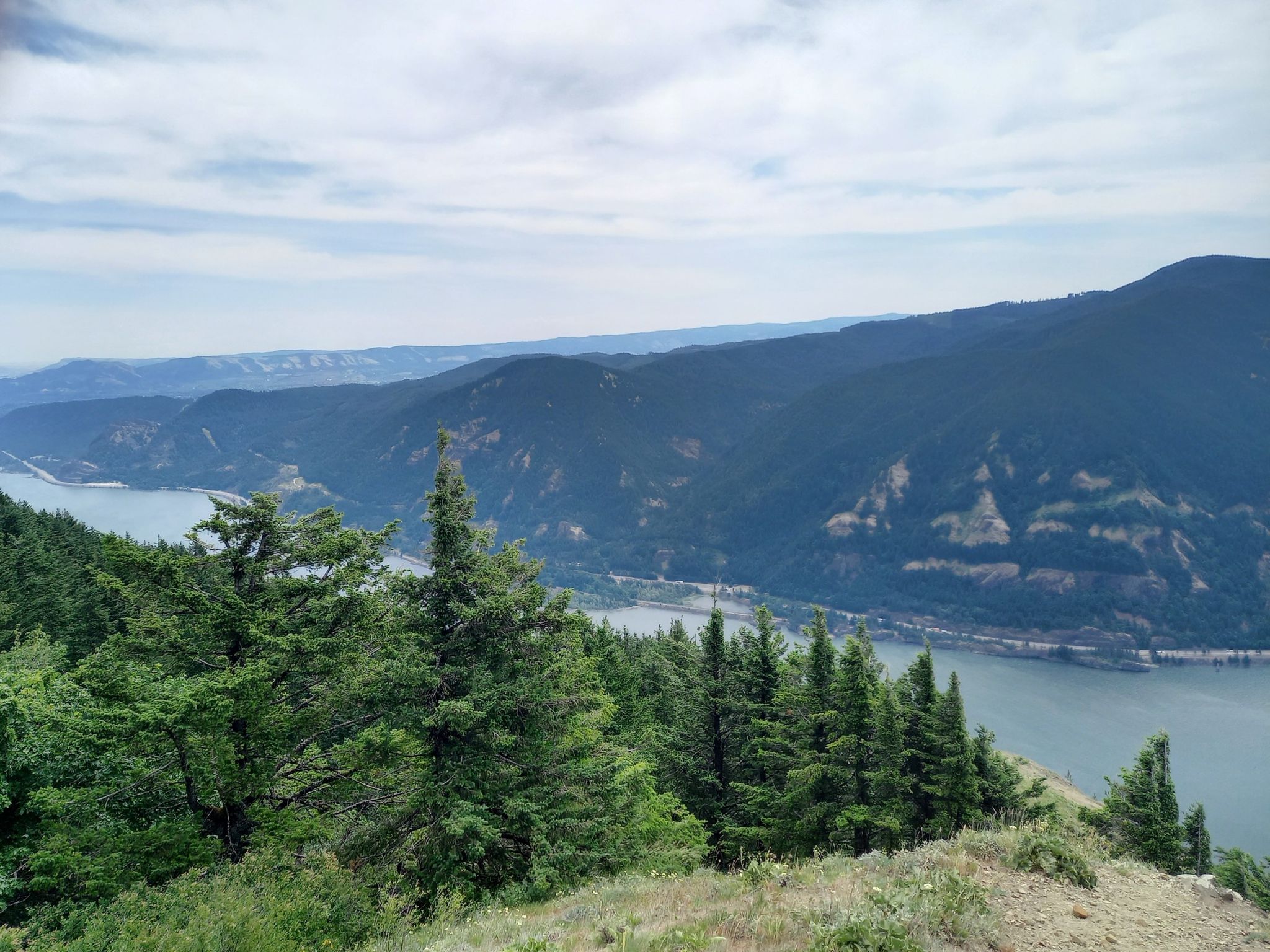 Panoramic view of a wide river, green forests, and distant mountains under clouds. - Dog Mountain Trail