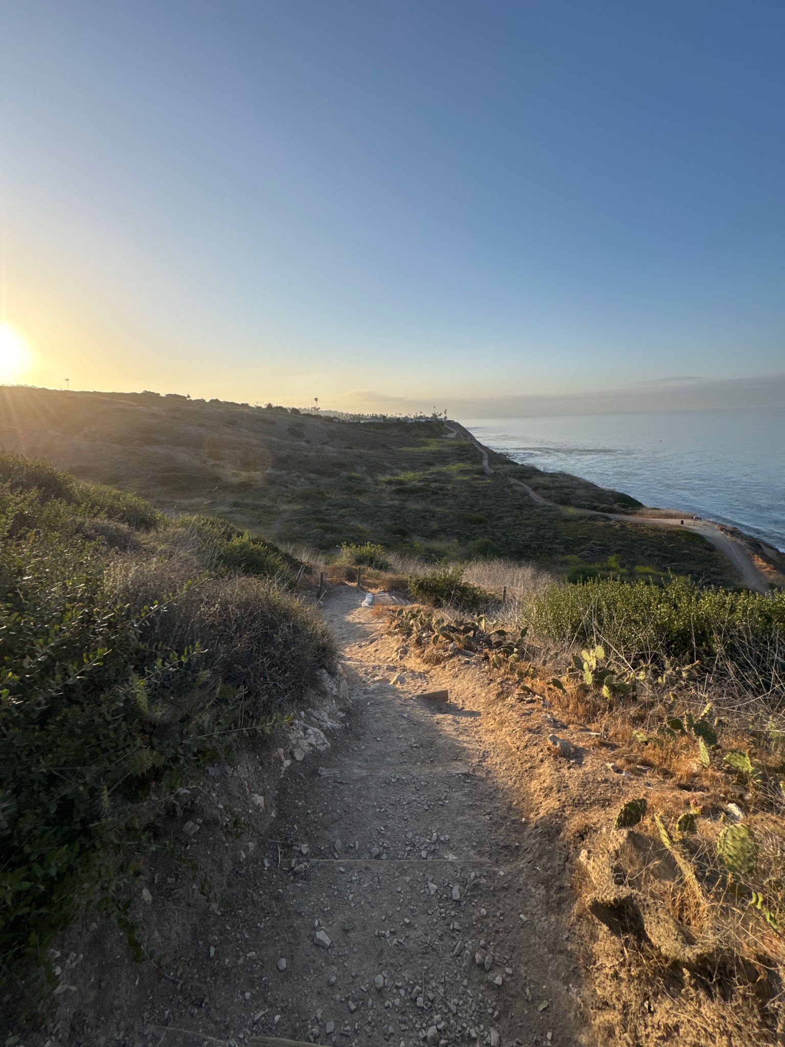 Dirt path along sunlit coastal cliffs overlooking the ocean at sunset. - Gnatcatcher, Sagebrush, and Shoreline Park Loop