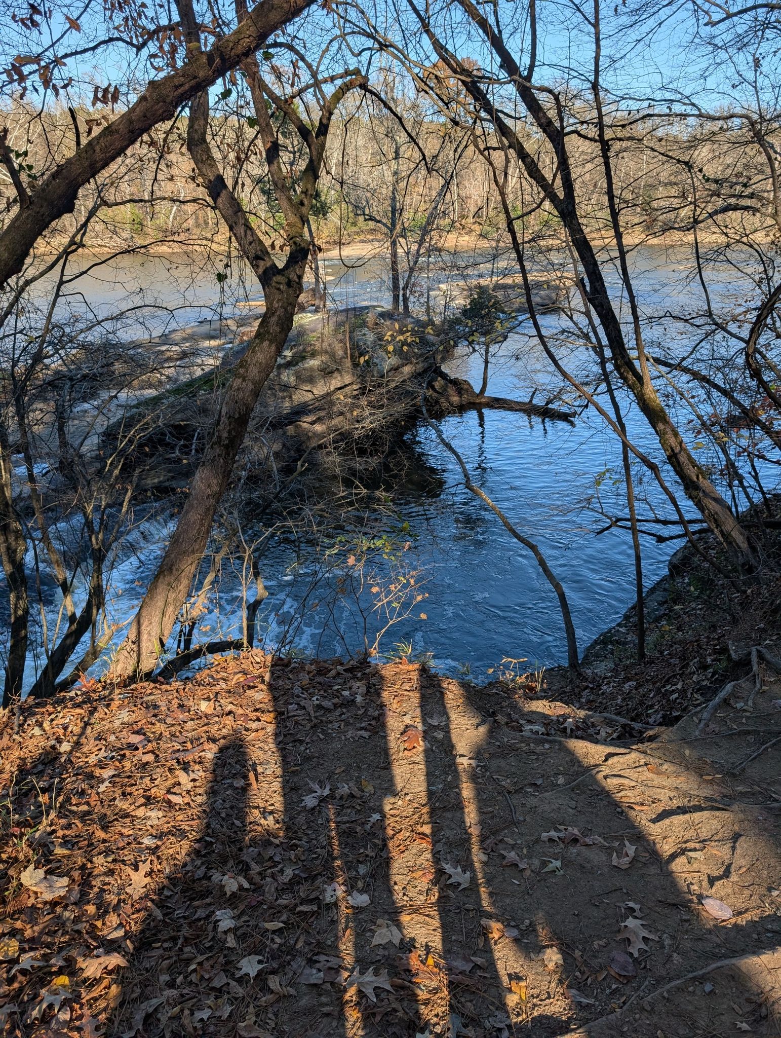 Sunny view of a river through bare trees, with long shadows on the bank. - Campbell Creek Loop Trail