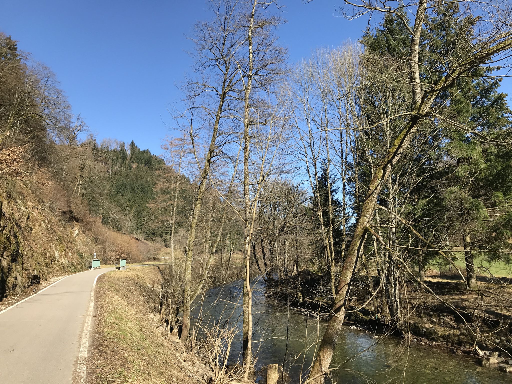 Radweg an der Wiese entlang (Atzenbach - Mambach)