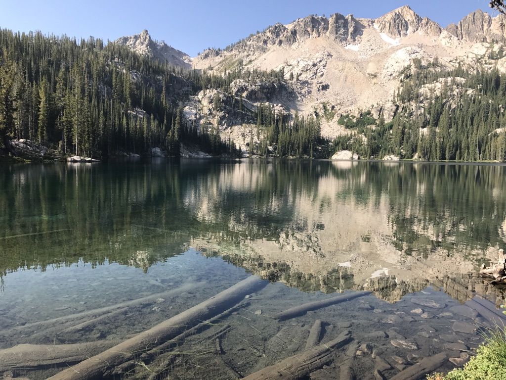 Clear mountain lake with submerged logs, surrounded by pine forests and rocky peaks. - Redfish Lake to Alpine Lake