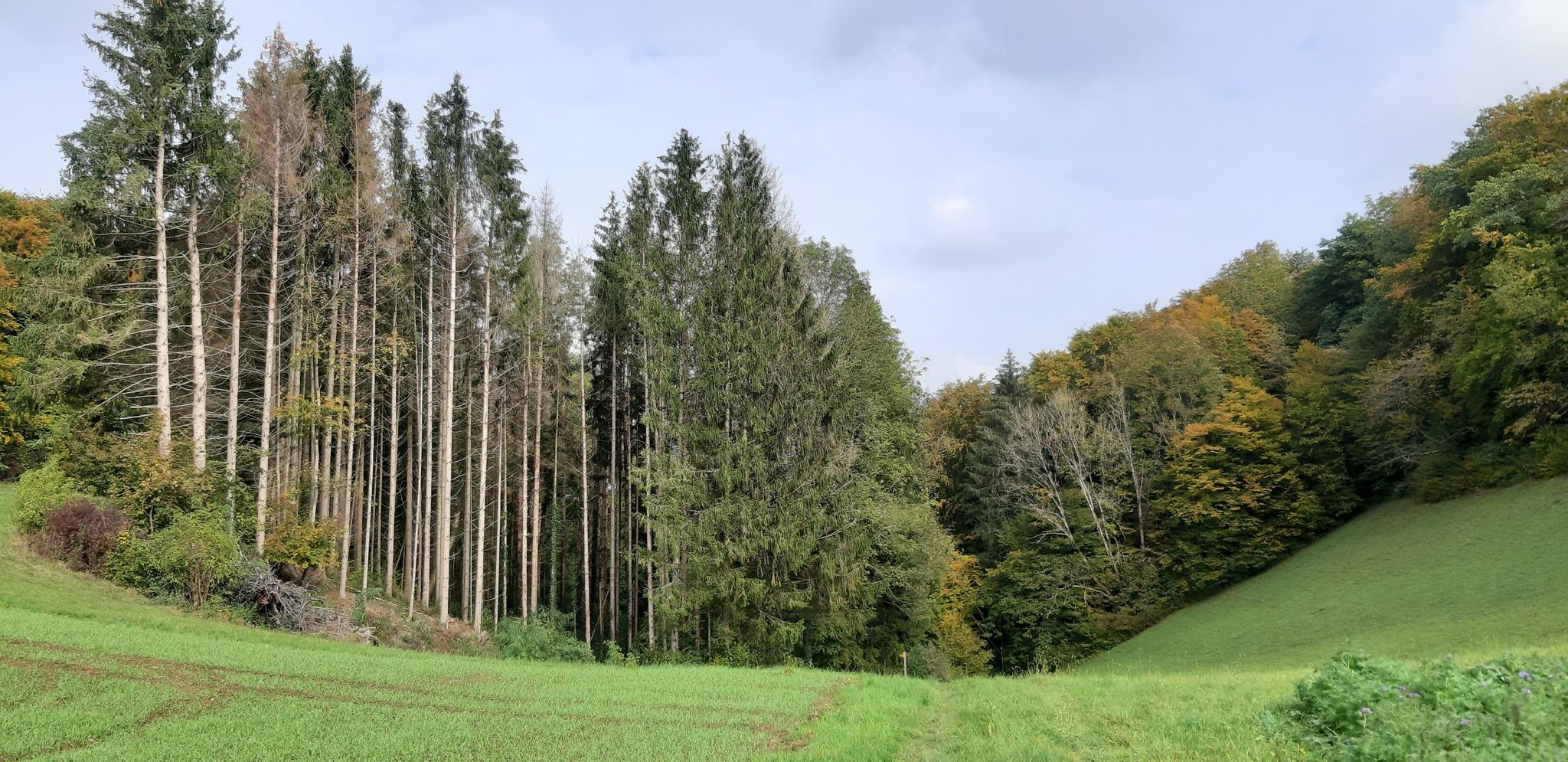 der Blick zurück 