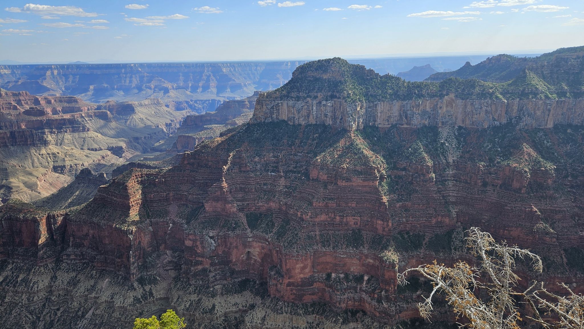 Vast canyon landscape with layered rock formations under a bright sky. - Point Imperial via Cape Royal Road