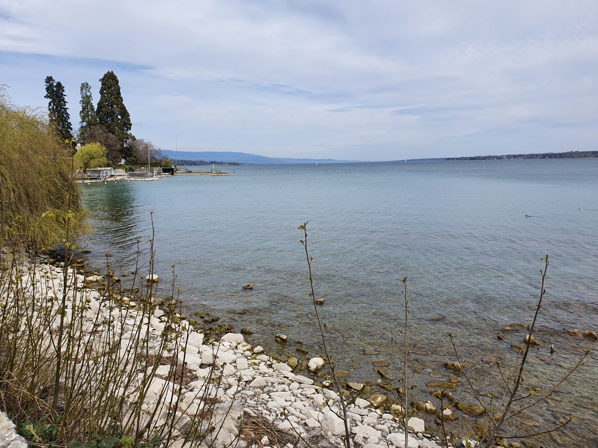 zurück am Lac Leman