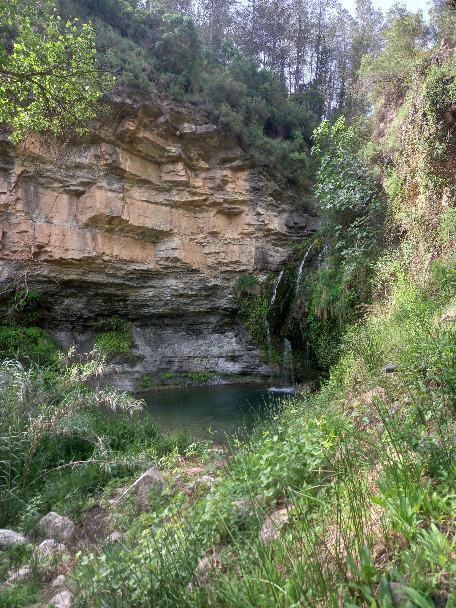 Salto Novia