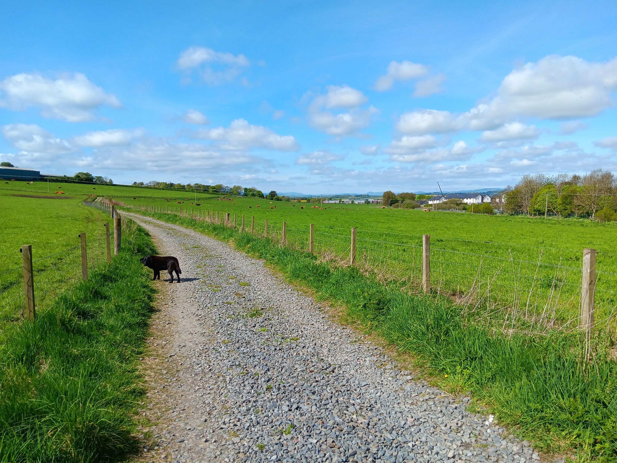 Rehouse farm track