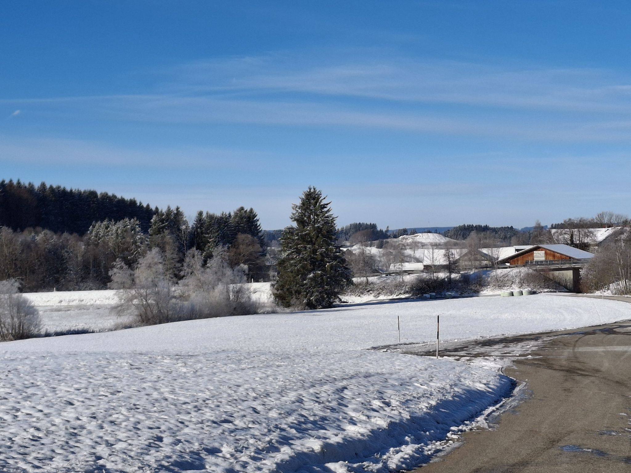 Winterliches Kohlhunden