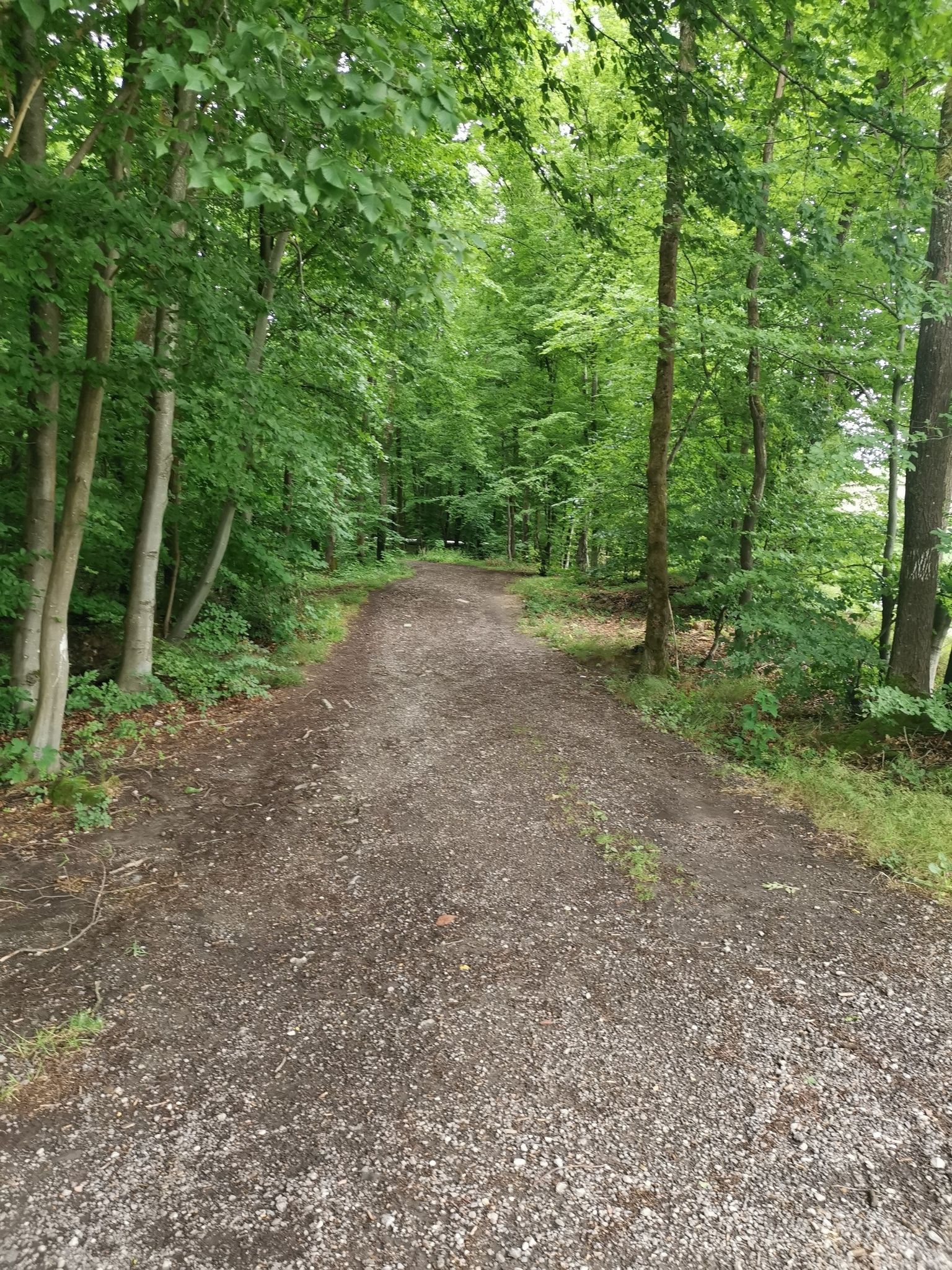 Foret Forbach