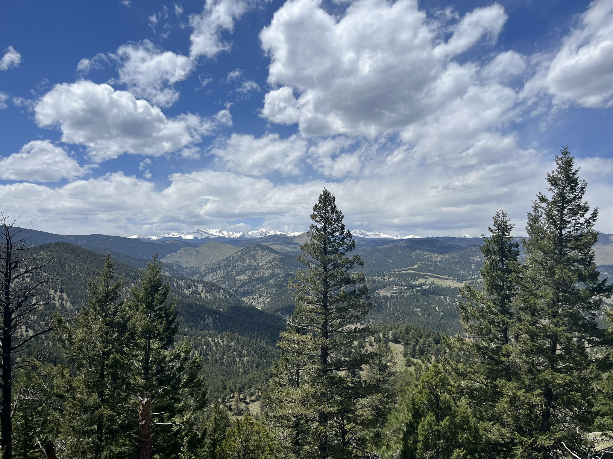 Mountain landscape with pine trees in foreground, distant snow-capped peaks, and cloudy sky. - Chapman Drive and Tenderfoot Trail Loop