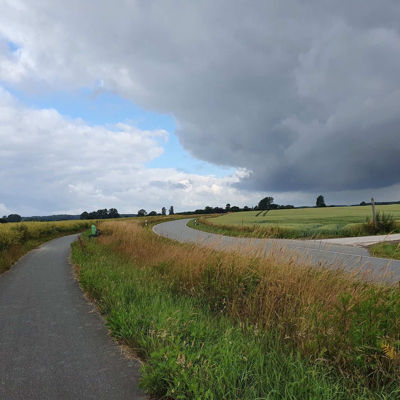 Blick nach vorn