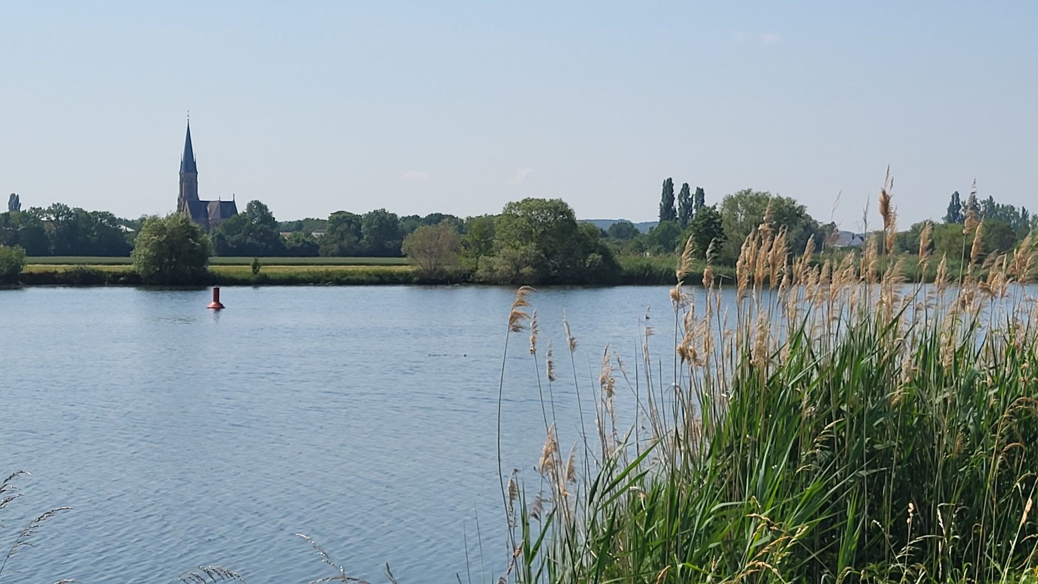 Blick über die Mosel