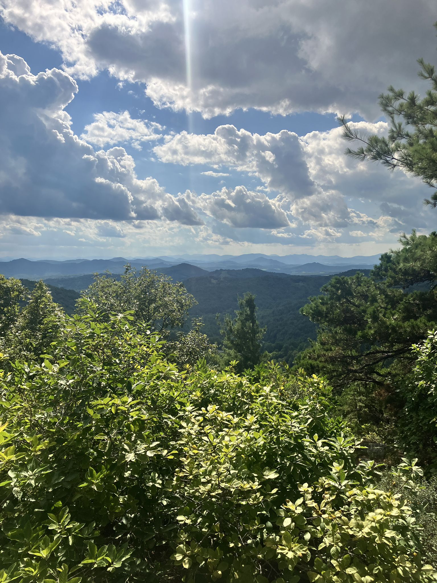 Lush green trees frame a sunny mountain vista under a cloudy sky. - Bluff Mountain Trail