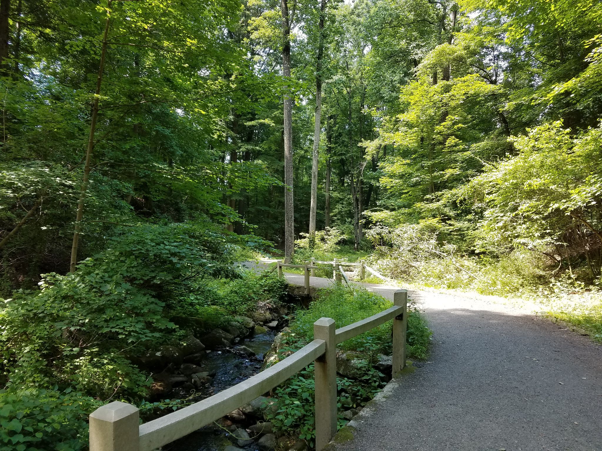Wooded path next to a stream with a wooden fence, dappled sunlight. - Rockwood Hall Trail