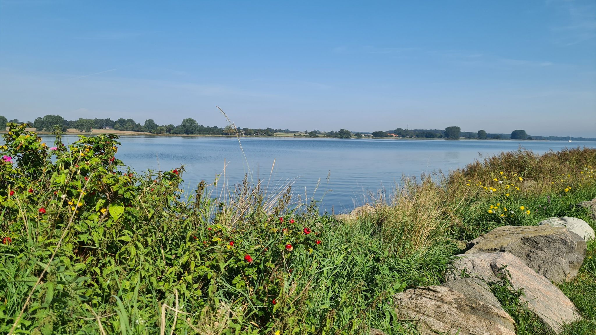 an der Schlei