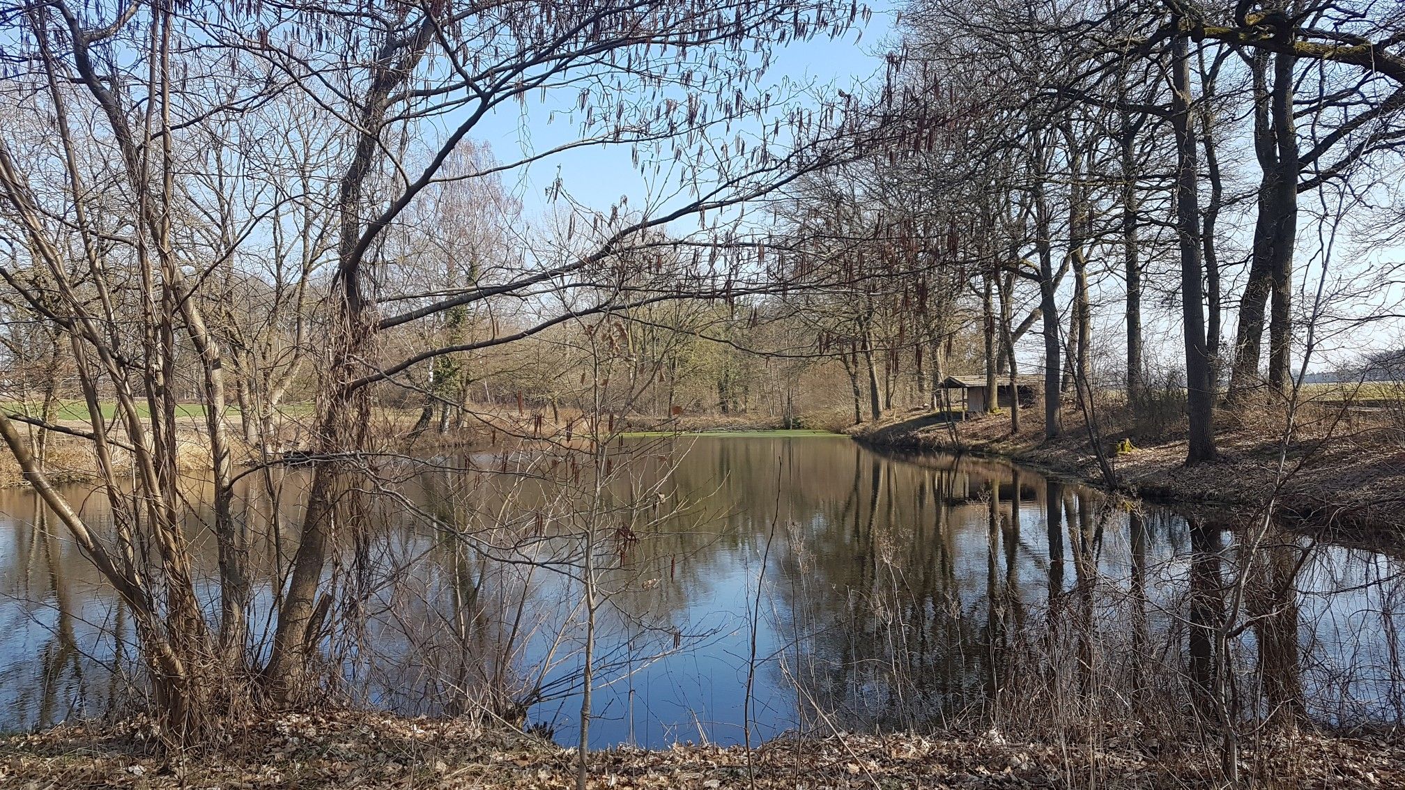 Teich bei Kuhmühlen an der Bundesstraße 