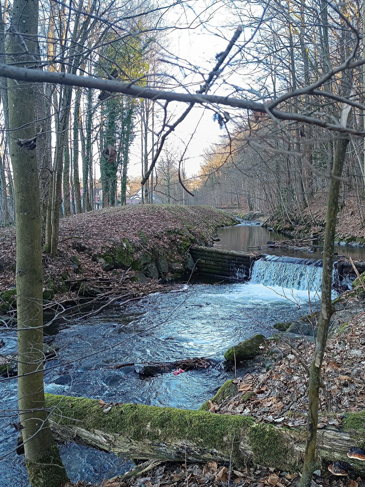 Die Steinach mit kleinen Wasserfall