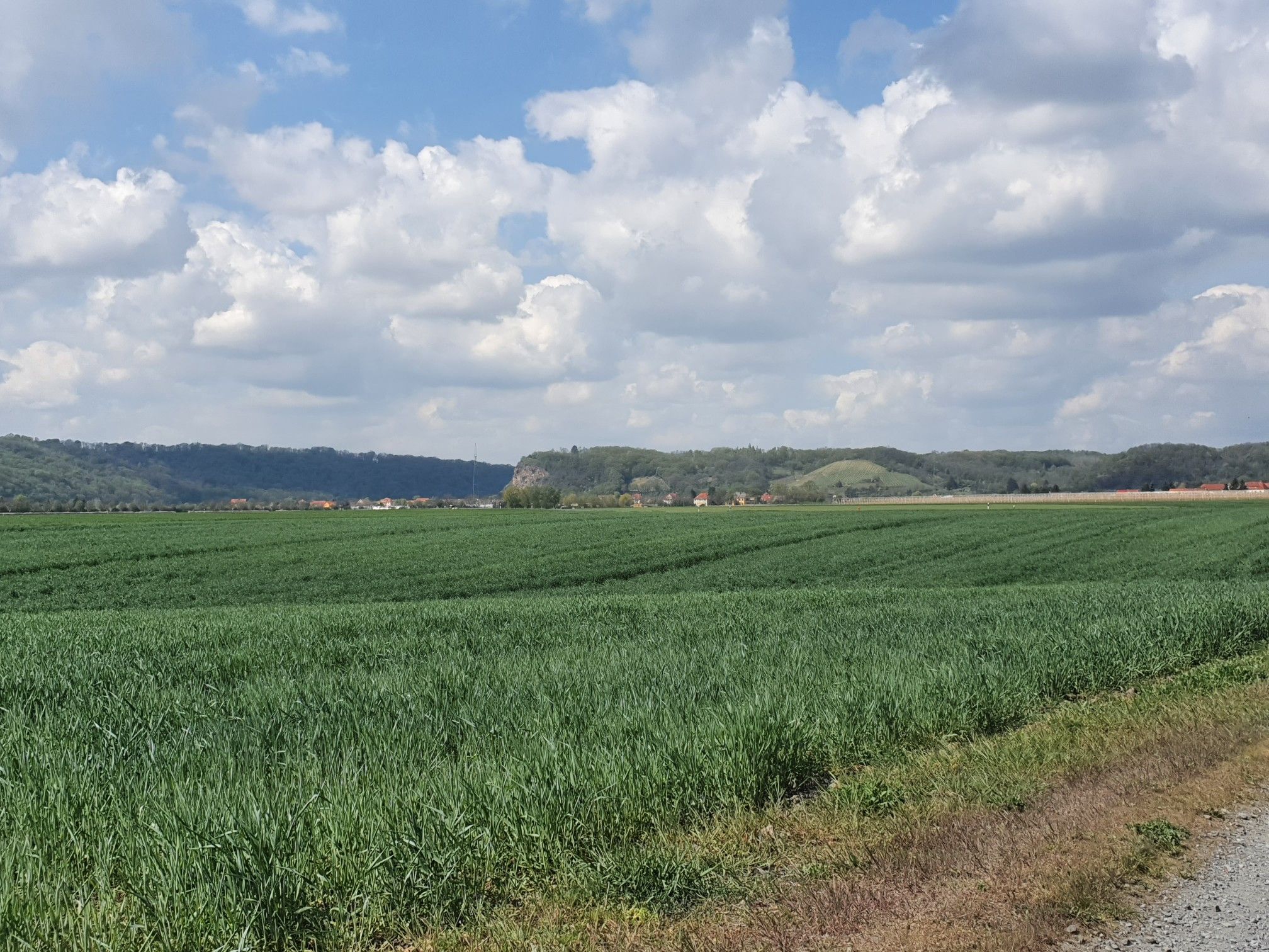 Blick zur Bosel