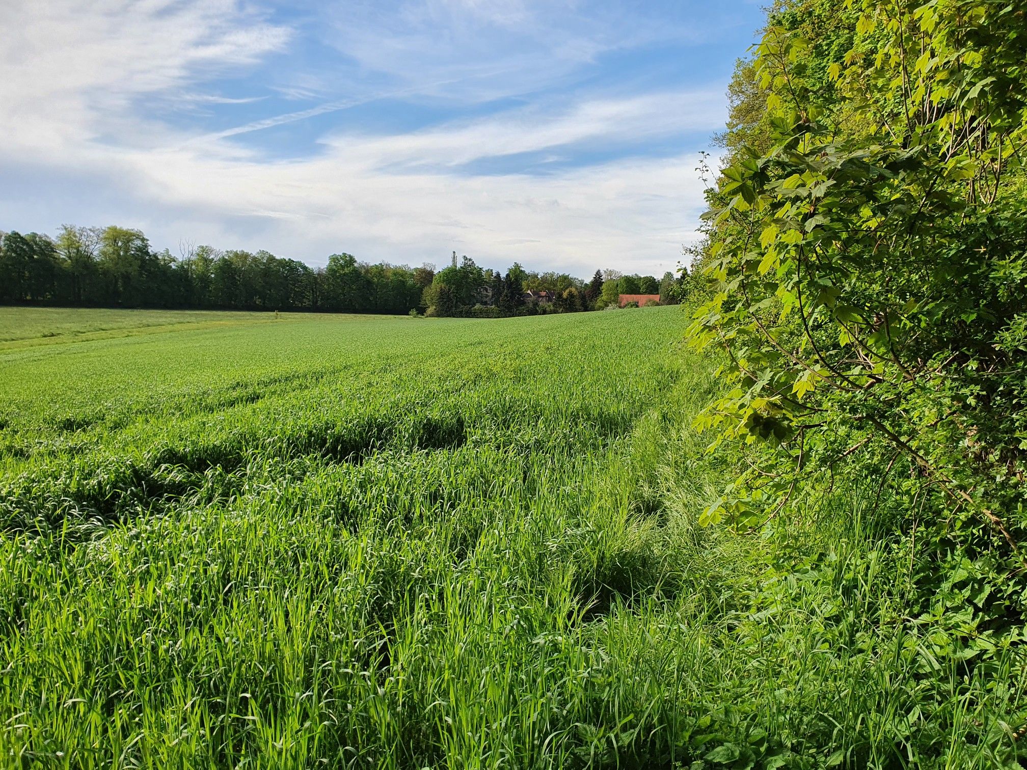 Blick auf Gerasmühle
