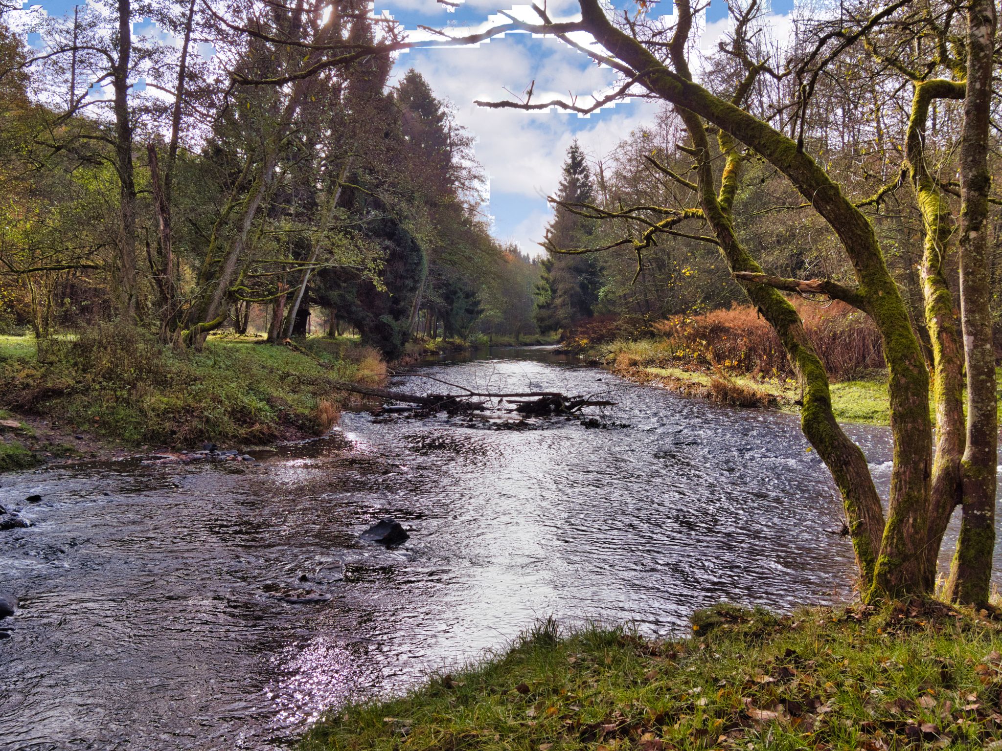 Zusammenfluss der Großen und Kleinen Nister